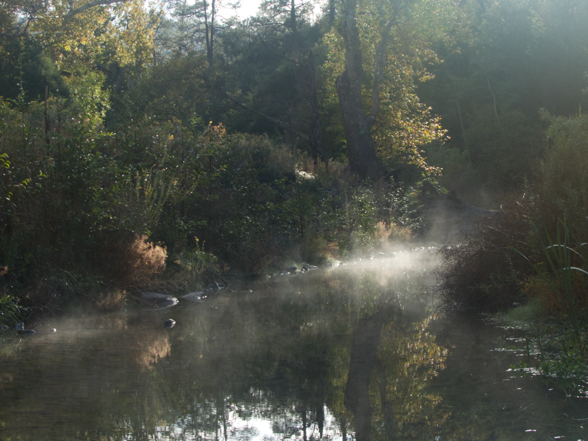 mist rising from the creek