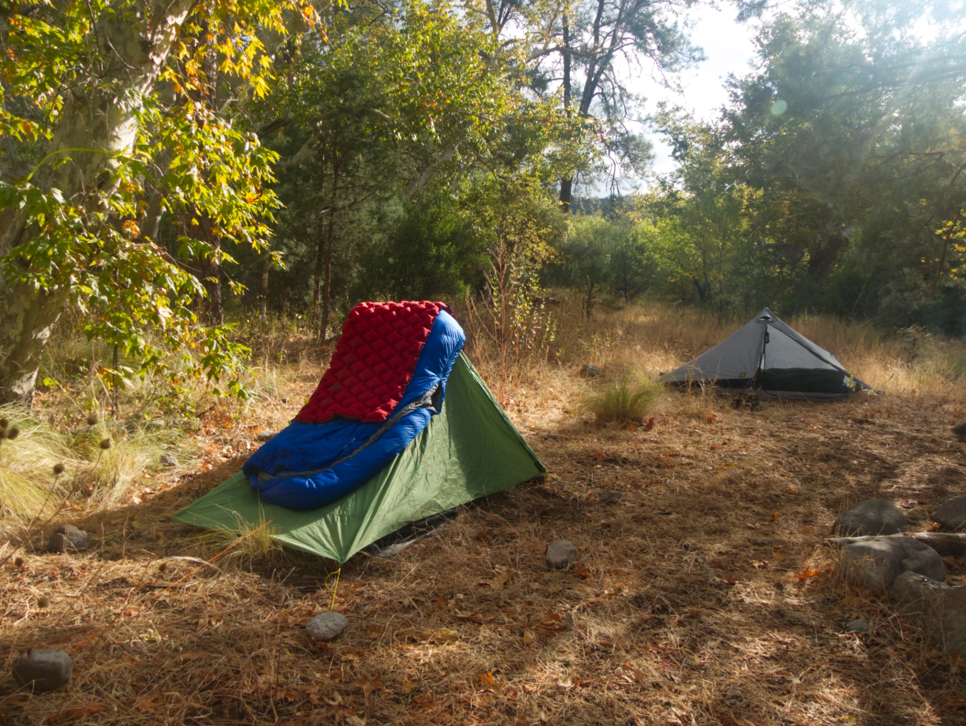 tents by the creek in the sun