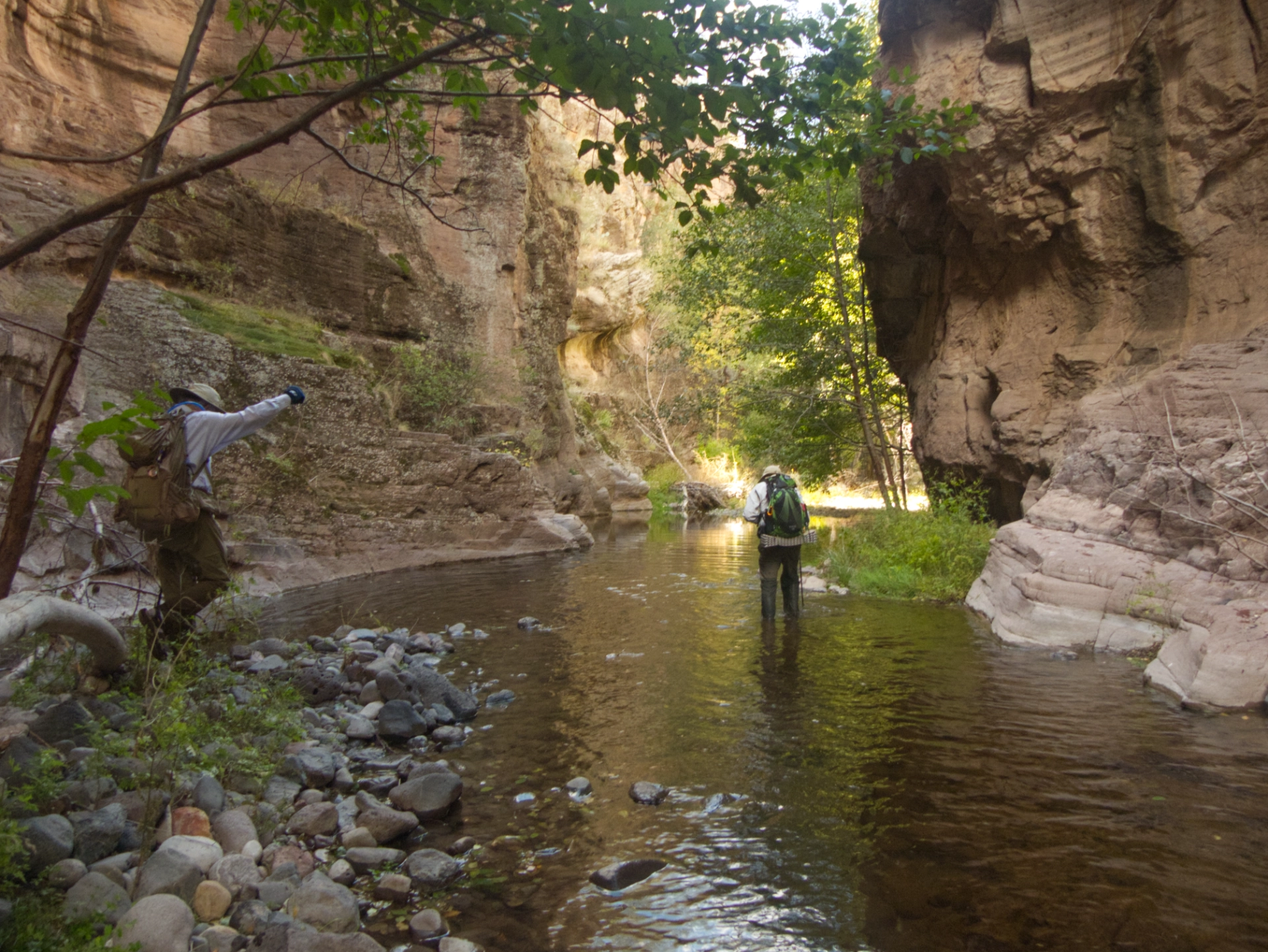 bushwhacking back along the creek