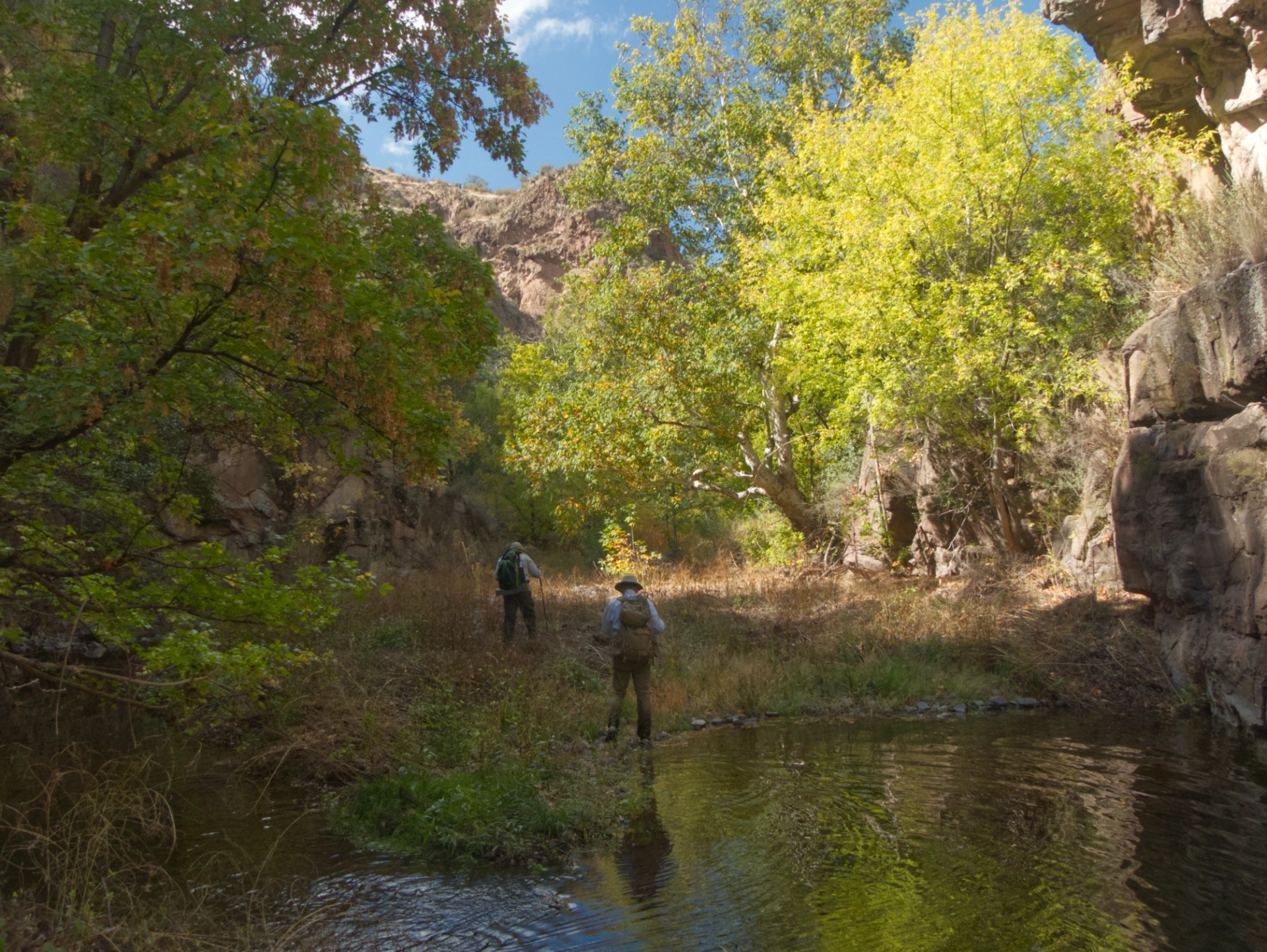 hikers along the creek in colorful fall foliage