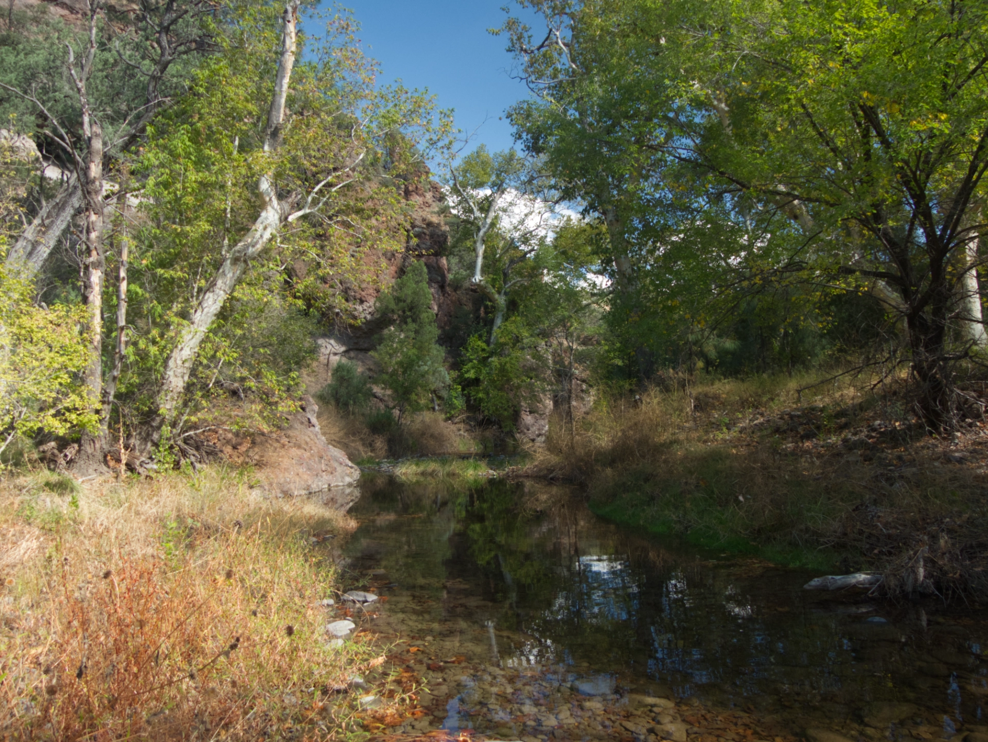 the creek near our campsite