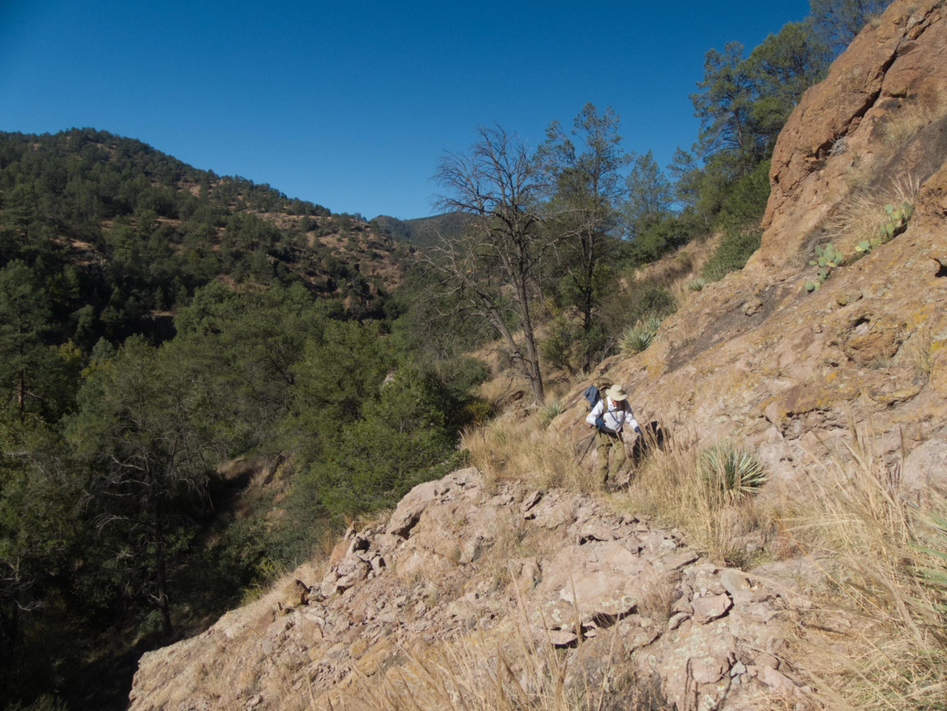 hiker climbing out of Sapillo Creek