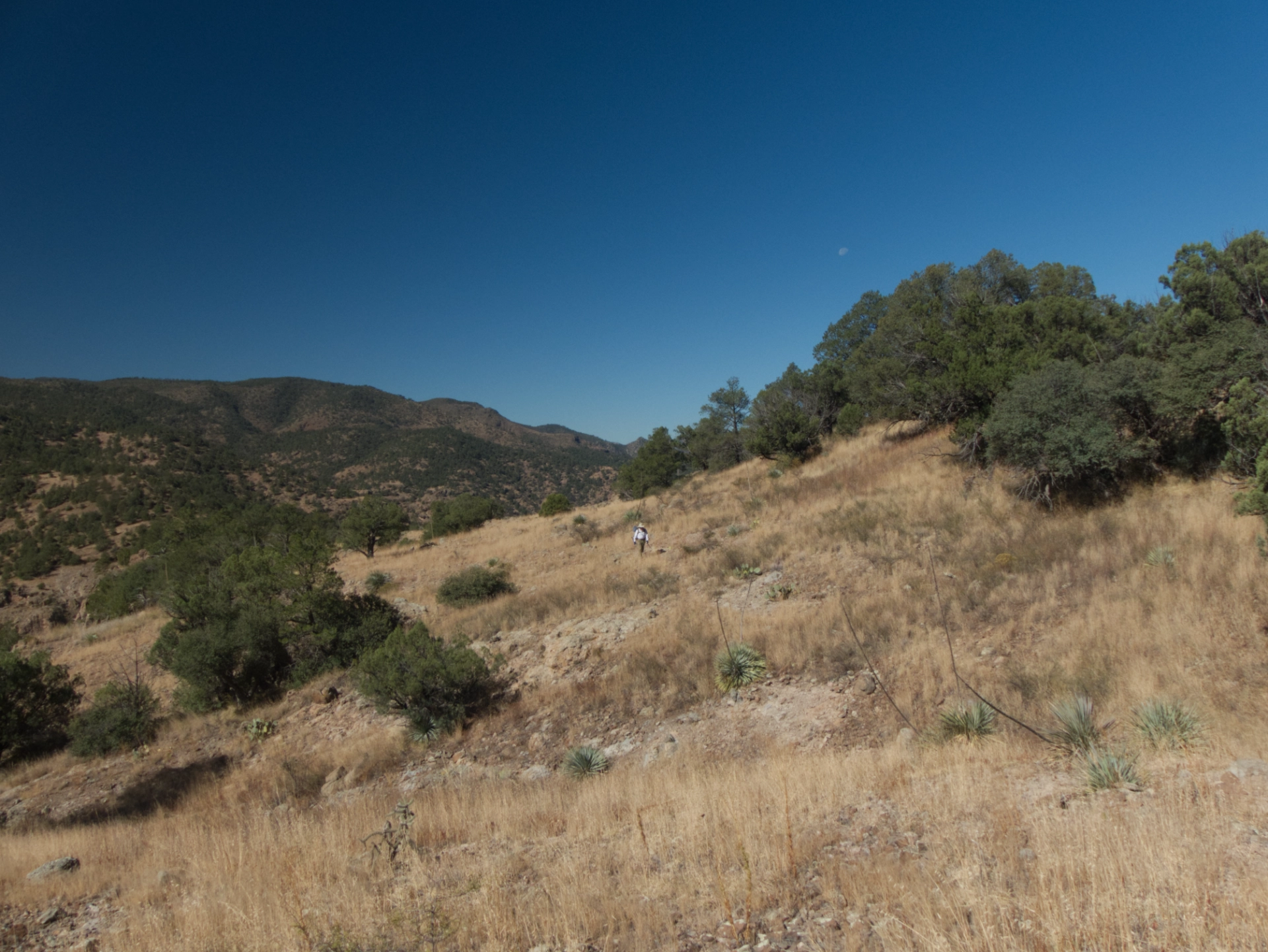 hiker on a ridge far in the distance