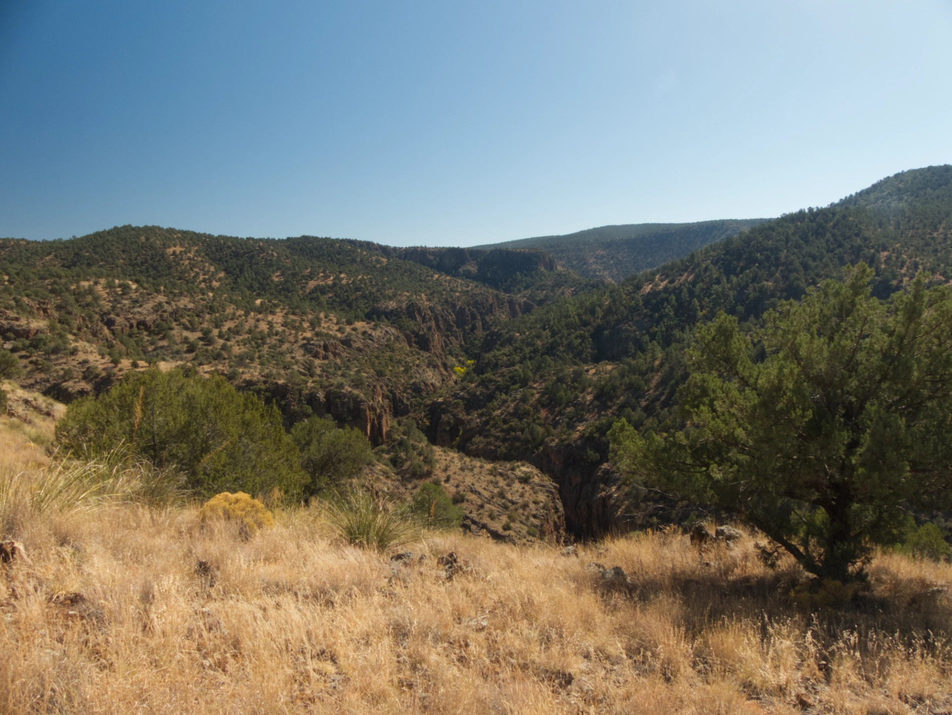 view into very narrow and steep-sided canyon