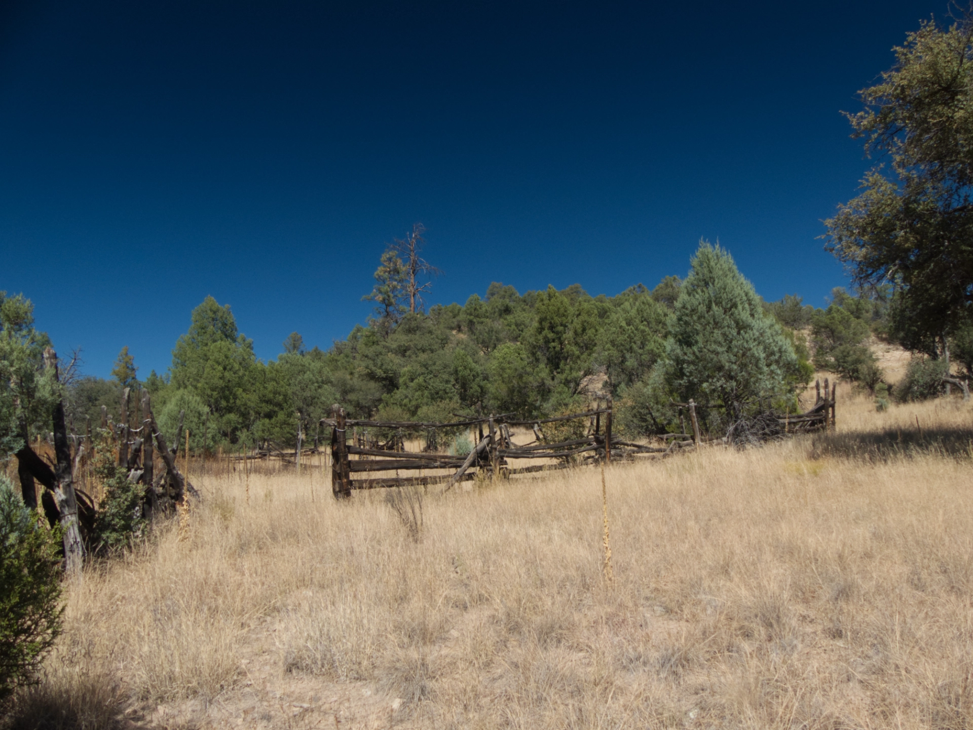 old corral in a grassy meadow