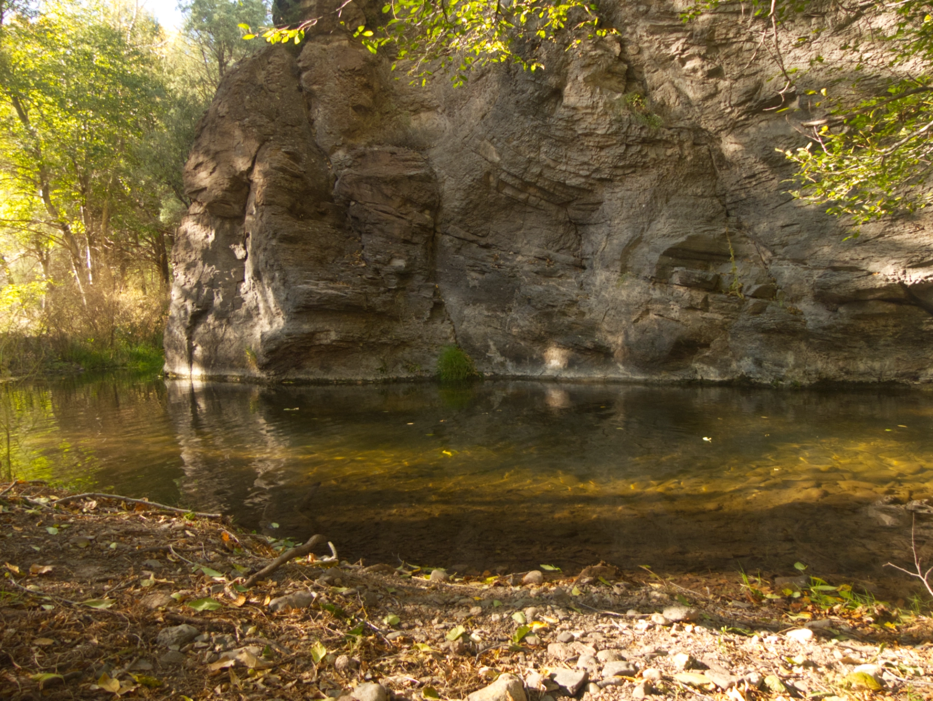 deep green and well-shaded pool