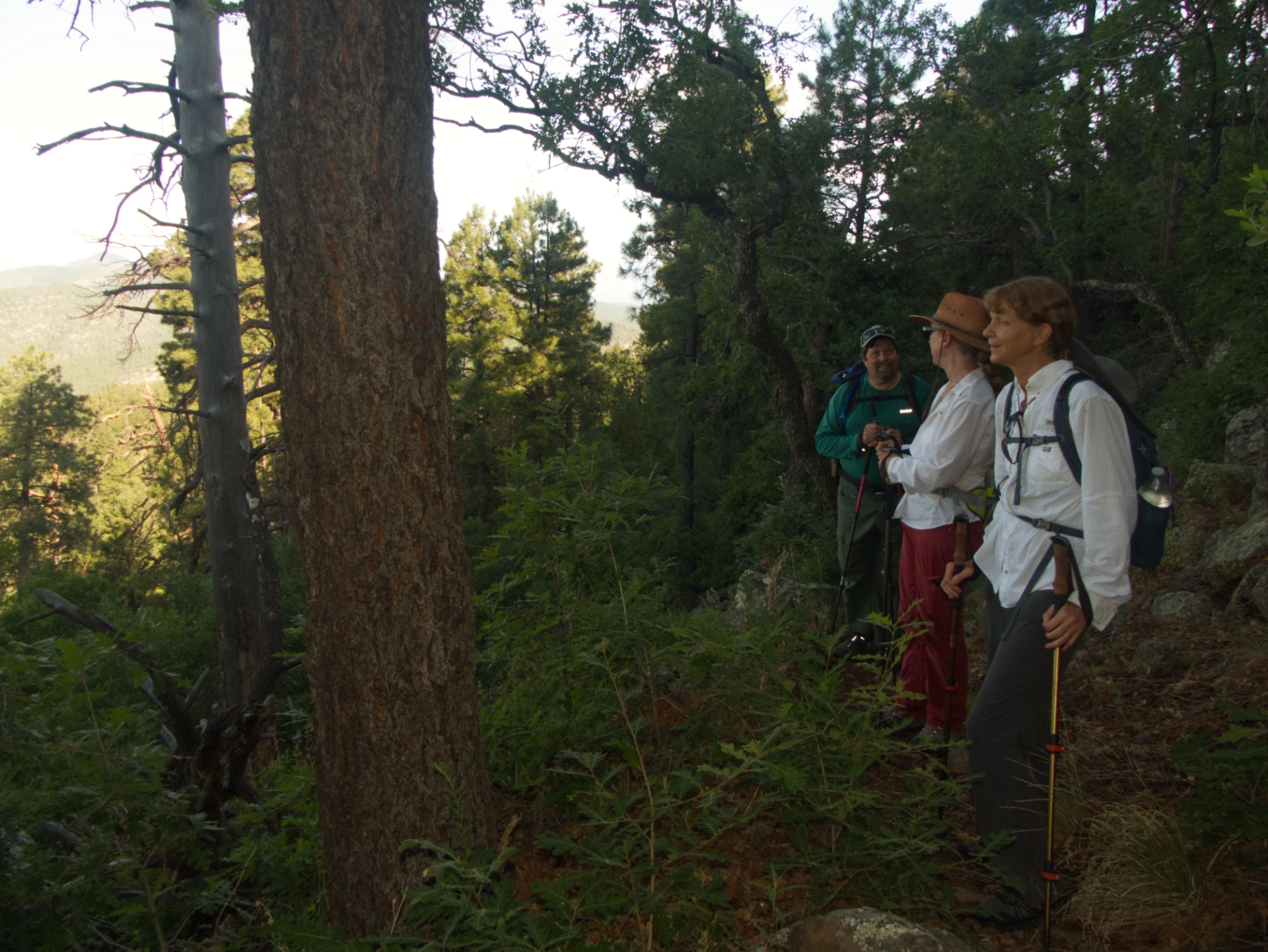 hikers admiring the view