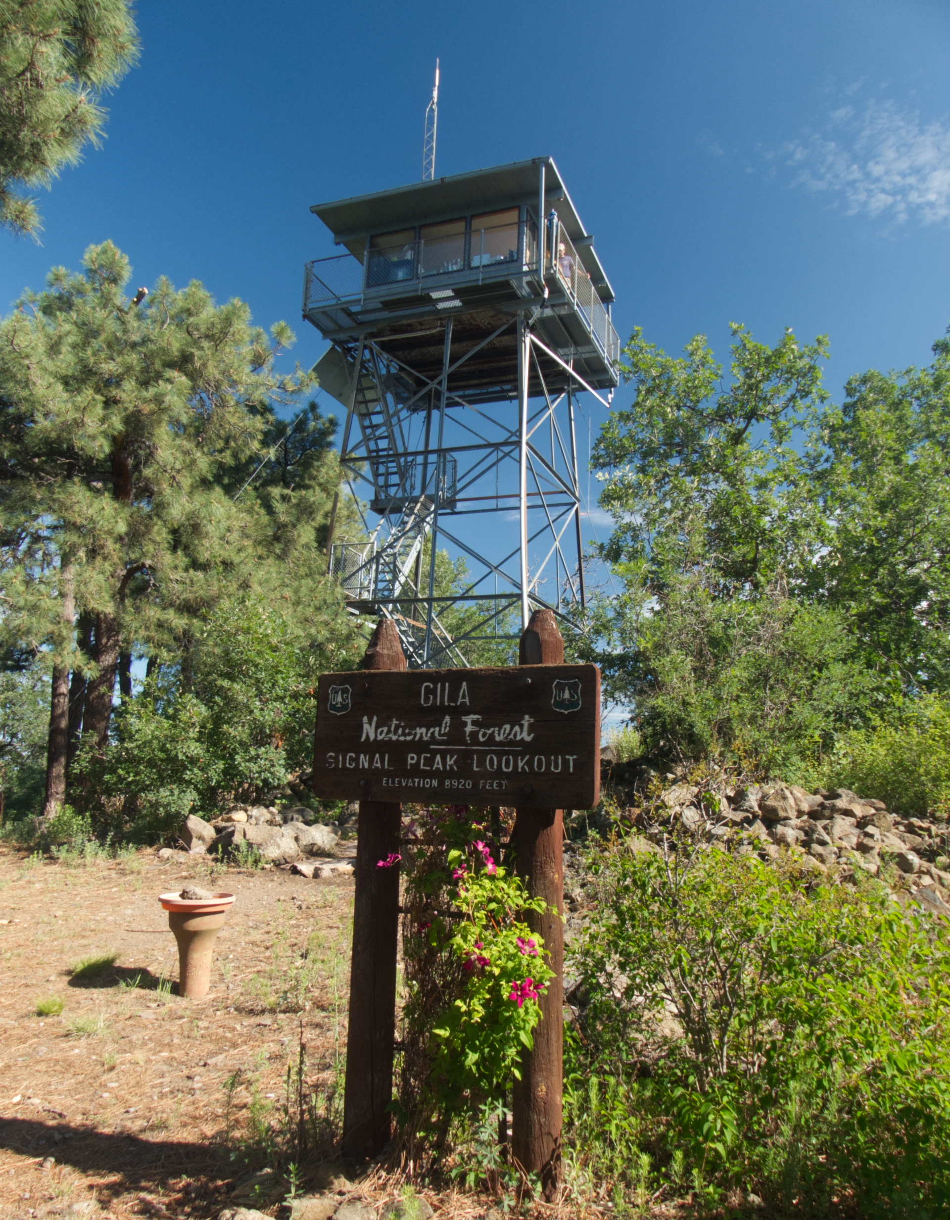 Signal Peak Lookout