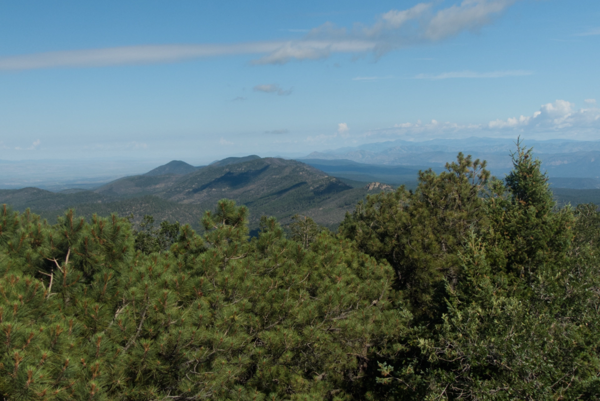 view toward Tadpole Ridge from the tower