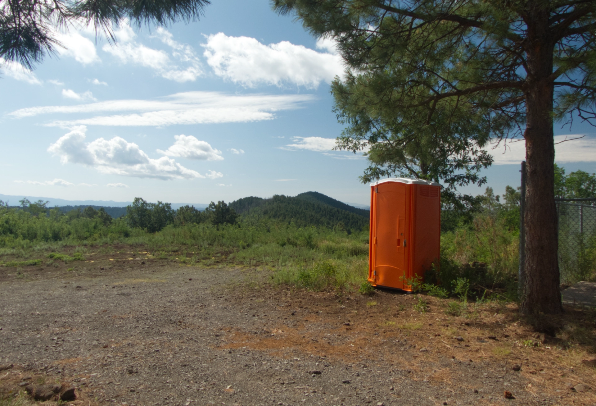 bright orange outhouse against a green forest