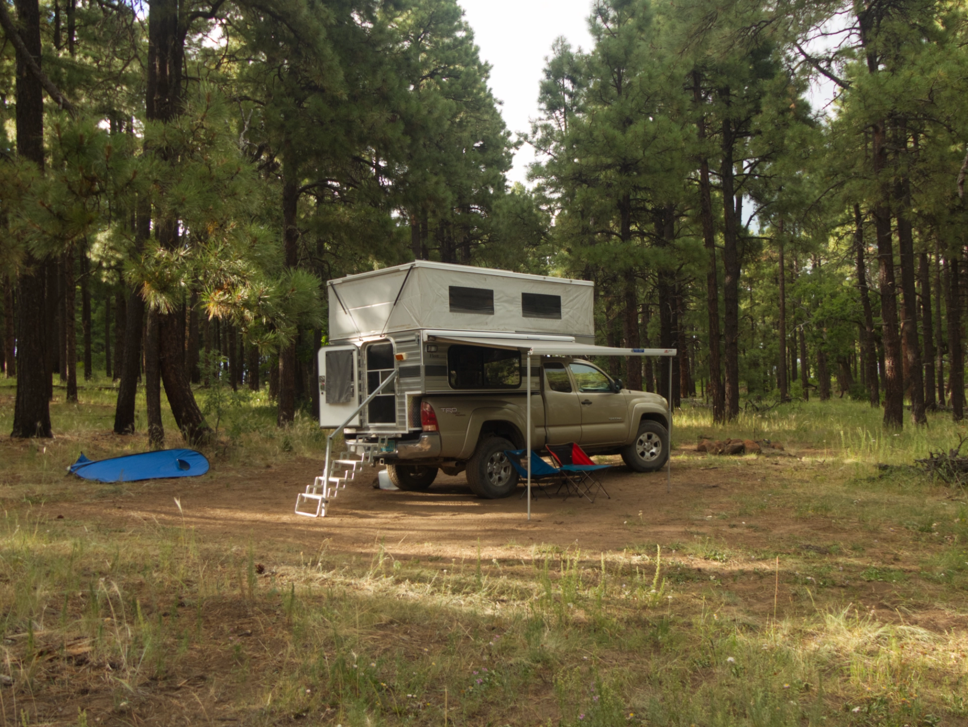 camper in the pine forest