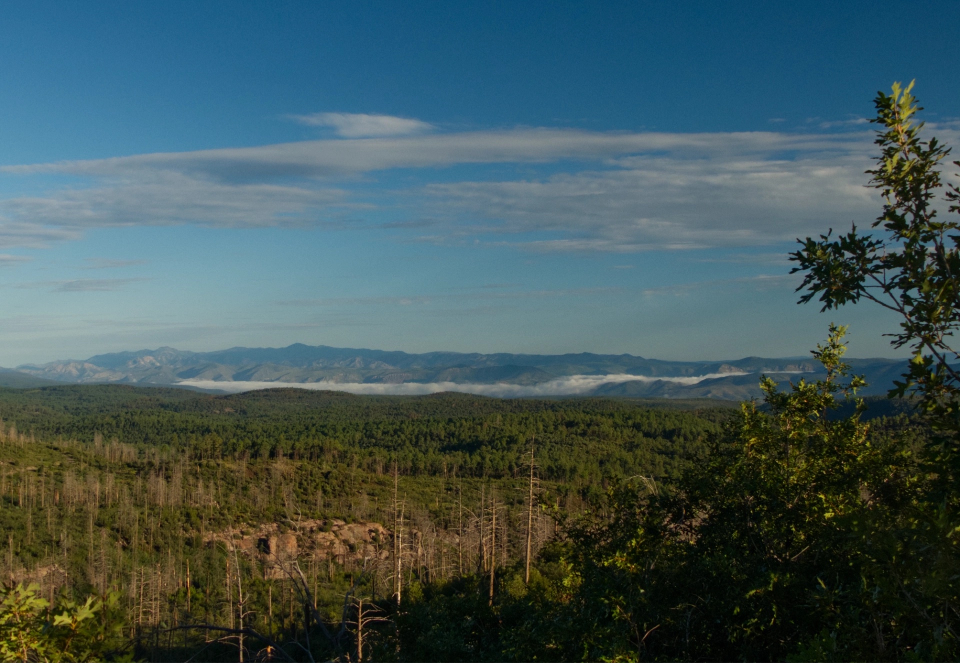 fog blanketing the Gila River