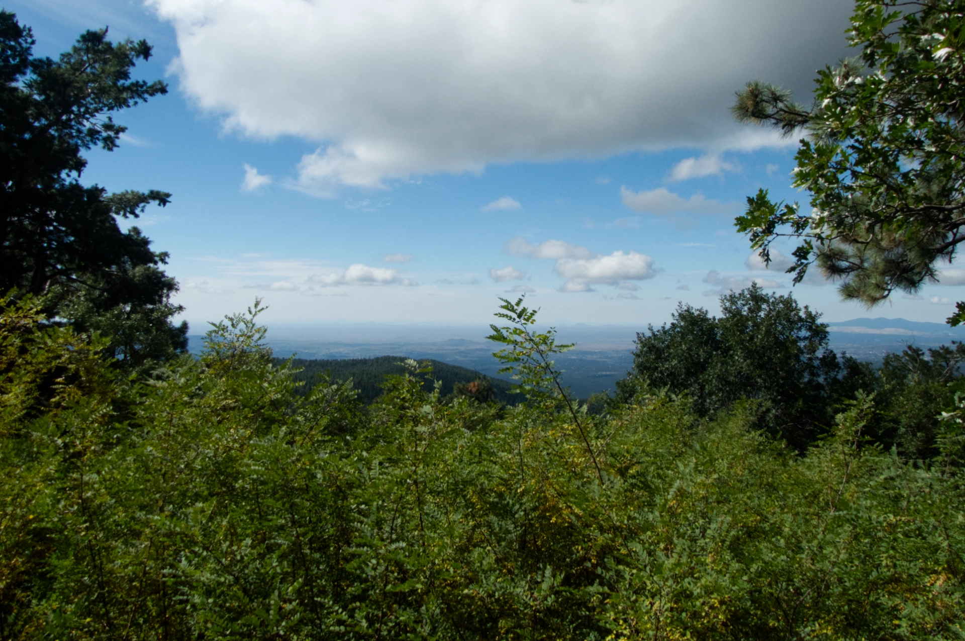 view from Black Peak