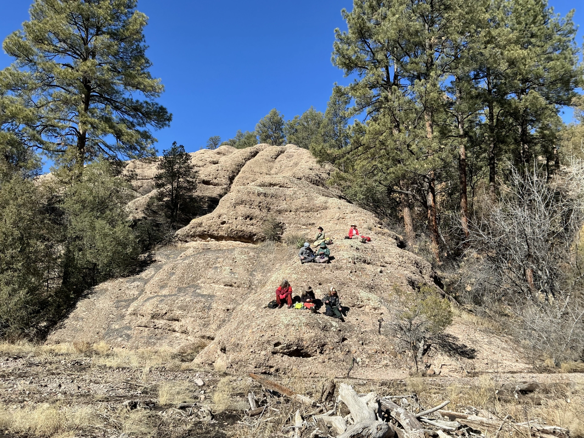 picnic on a sunny ridge