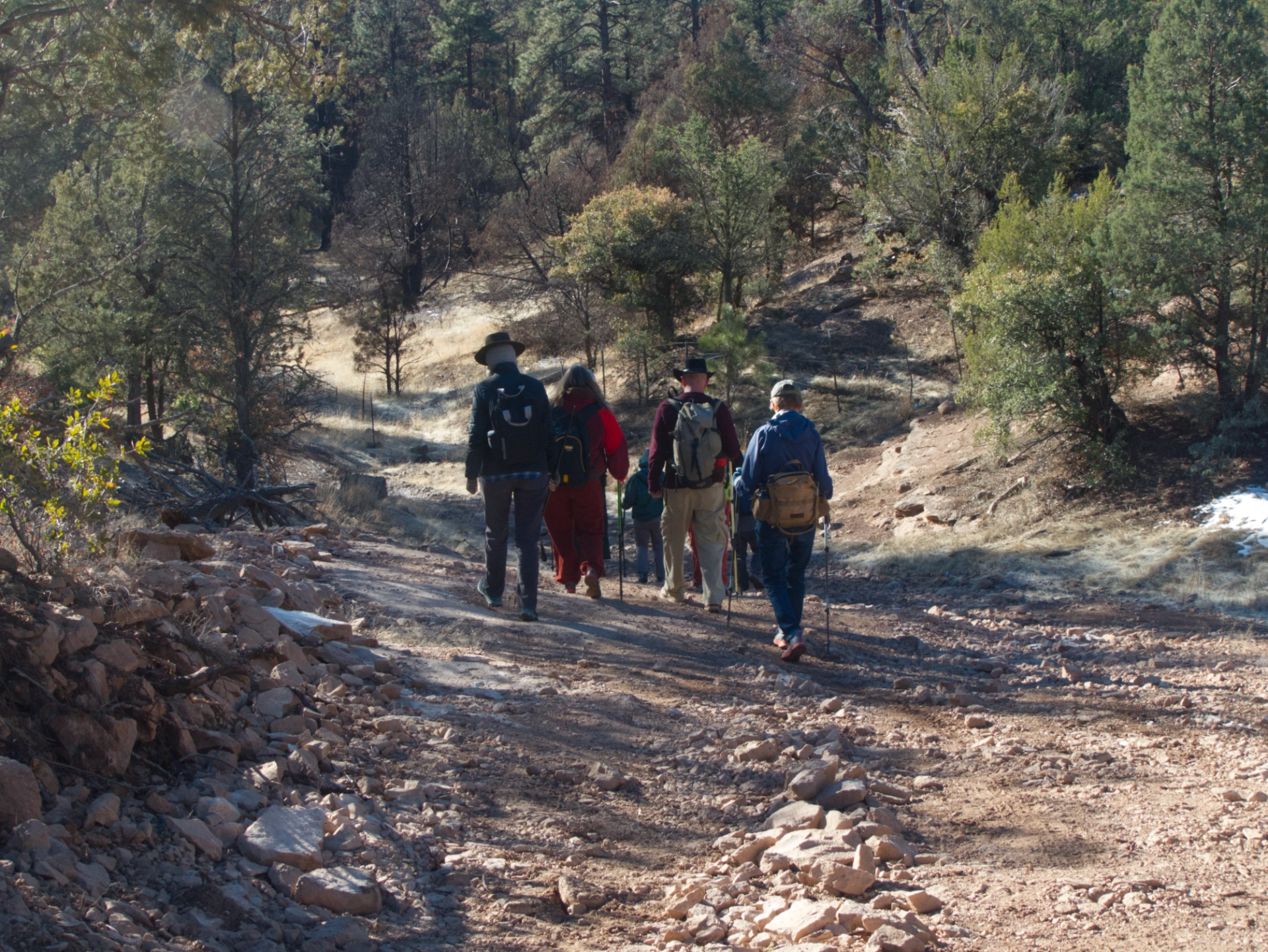 Gila hikers on the trail