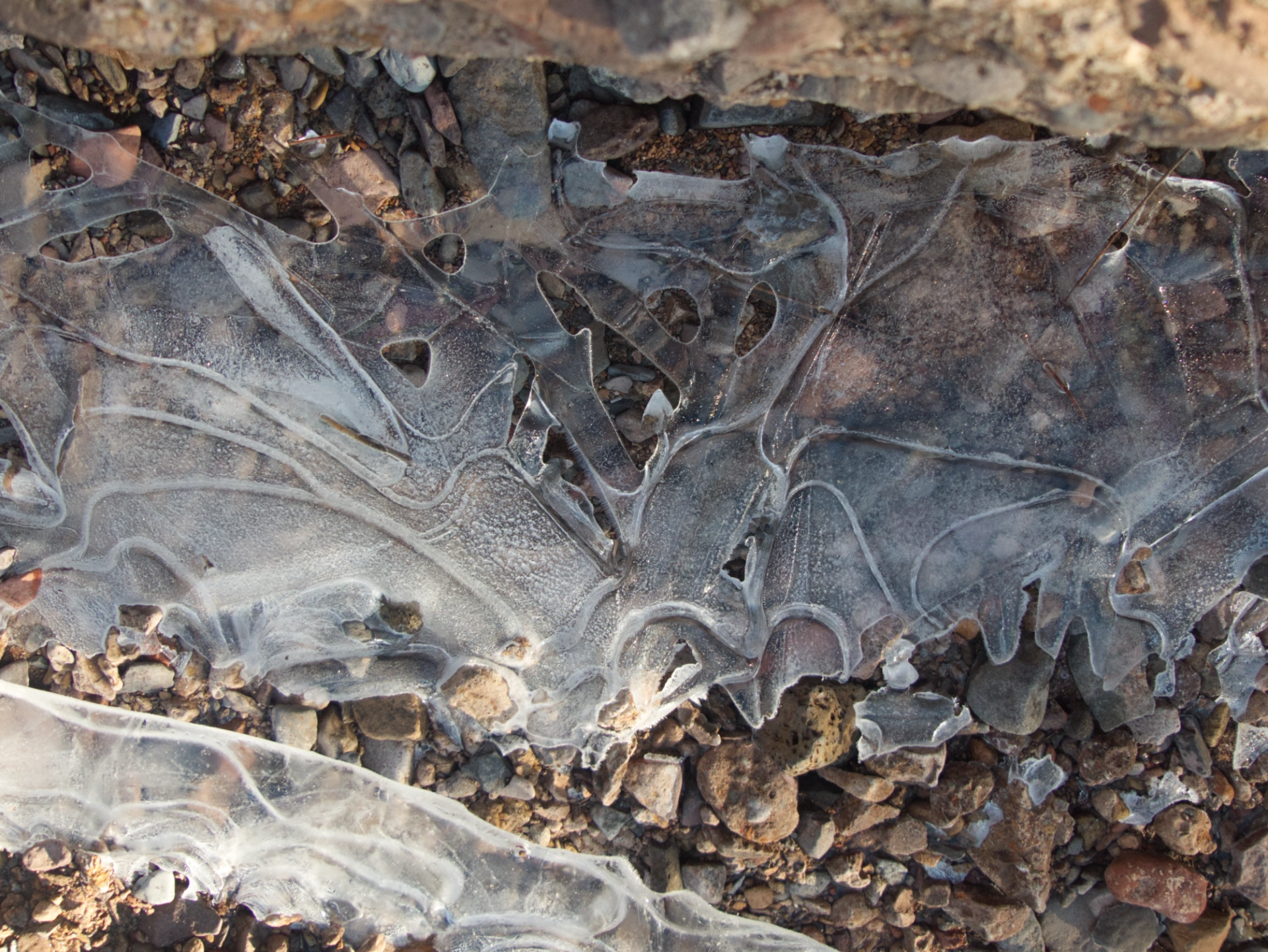 deeply etched slice of ice