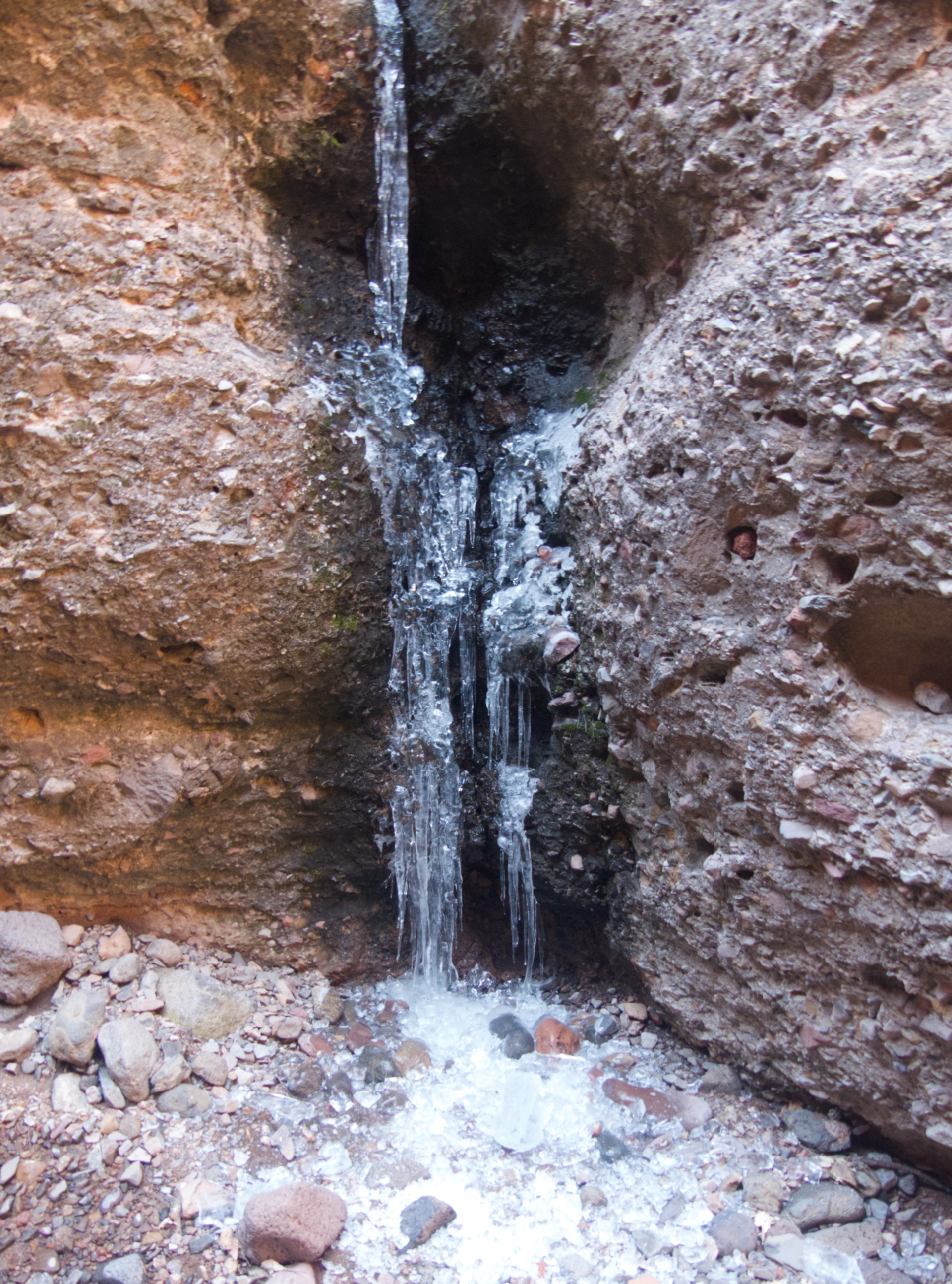 fropzem spring #1