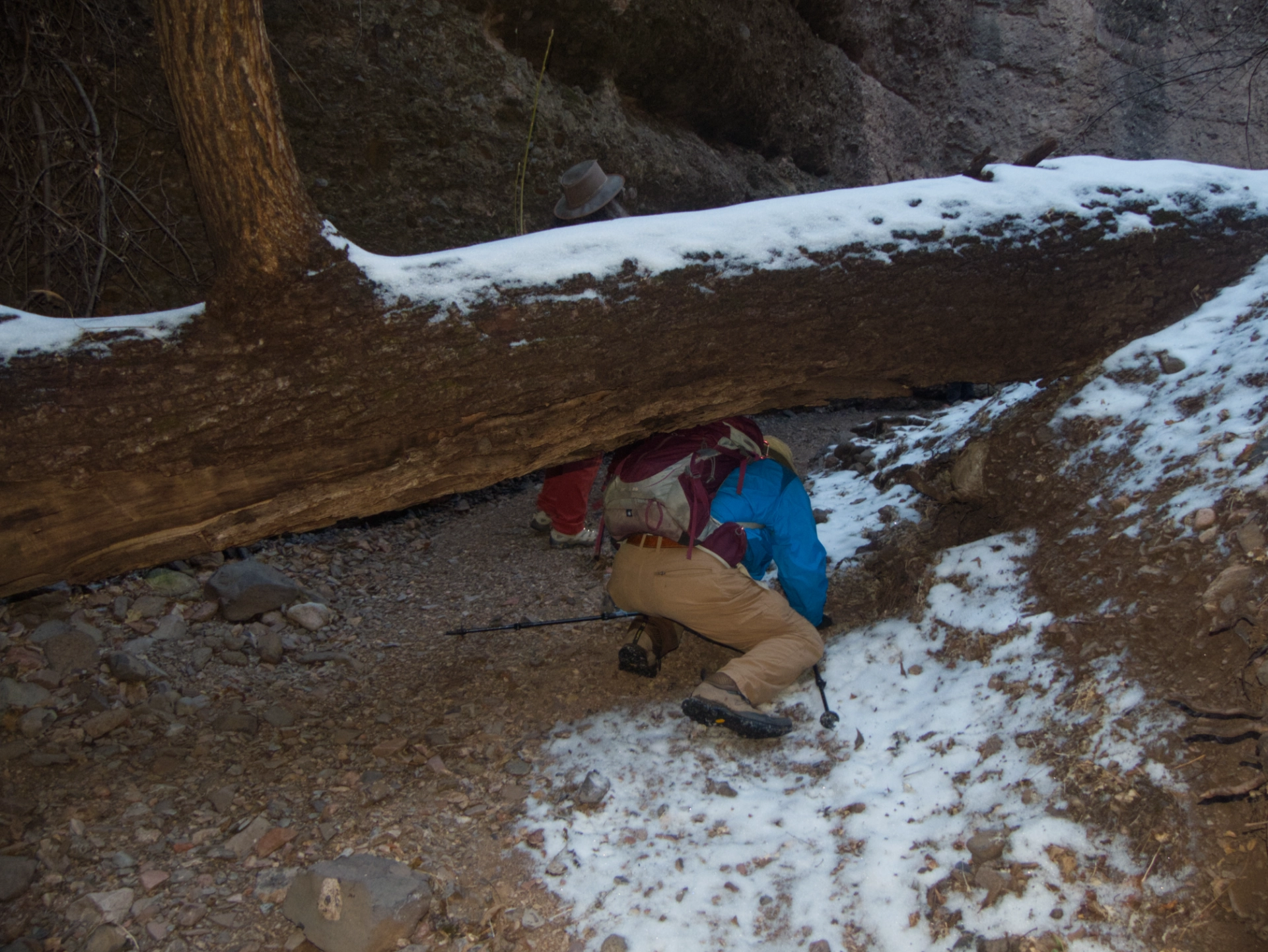 limboing under the frozen log