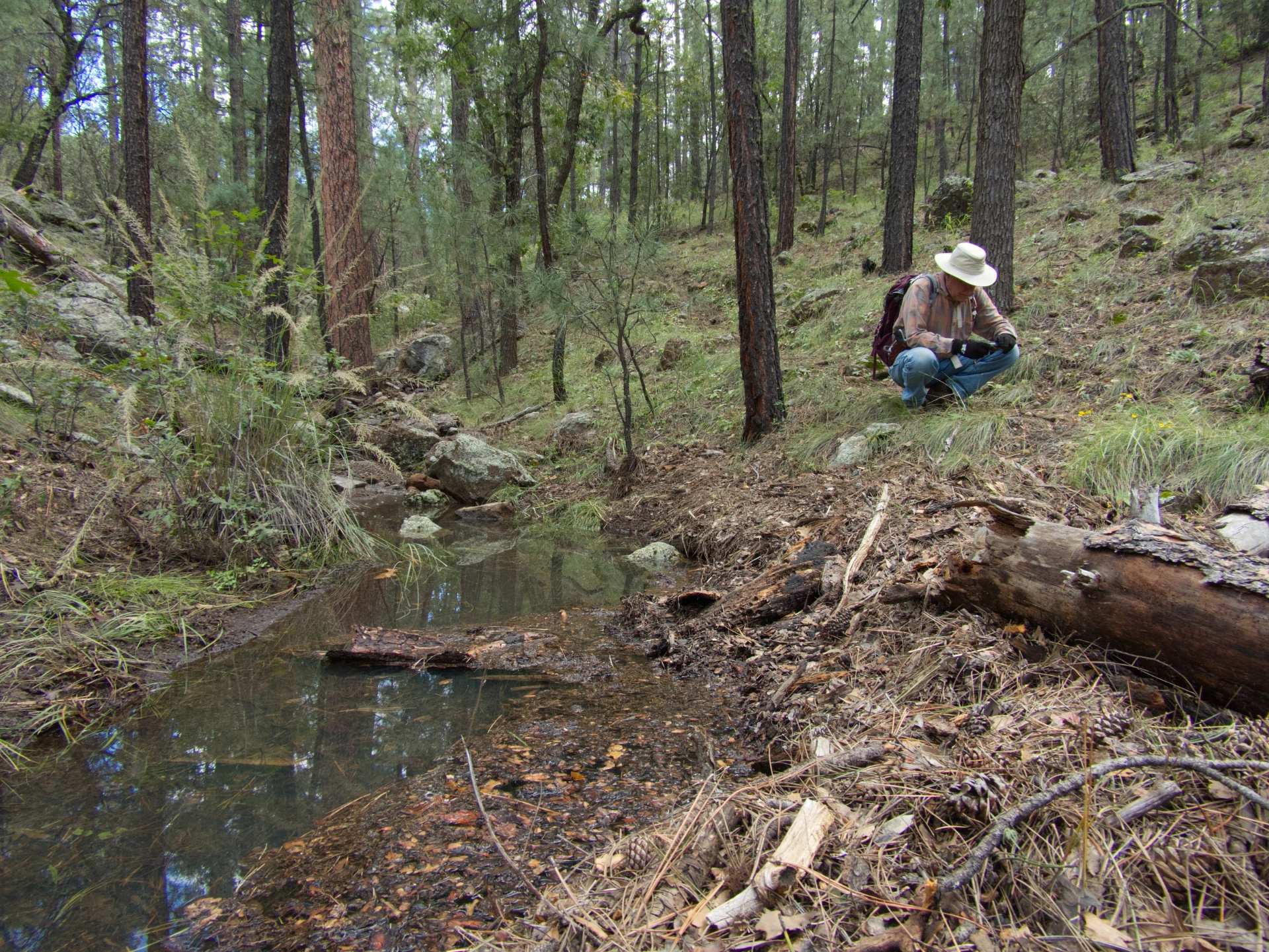 Dennis crouches to photograph mushrooms along the trail