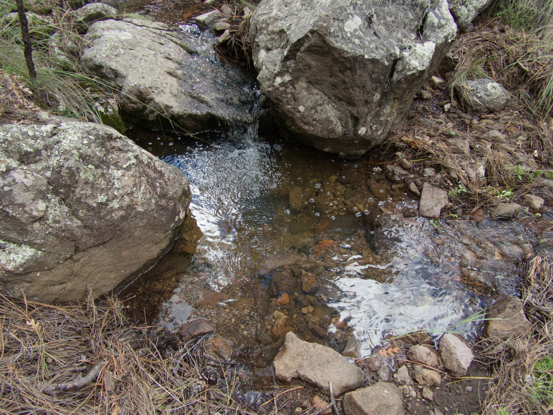 shimmering pool and tiny waterfall