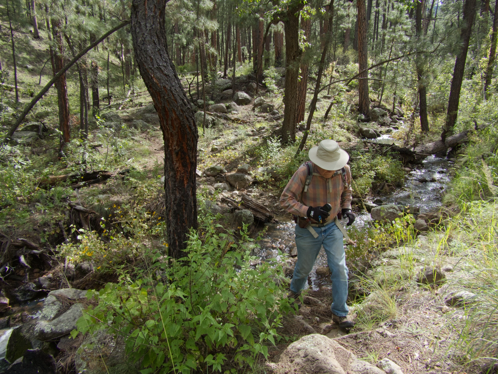 Dennis stepping across a sparkling stream