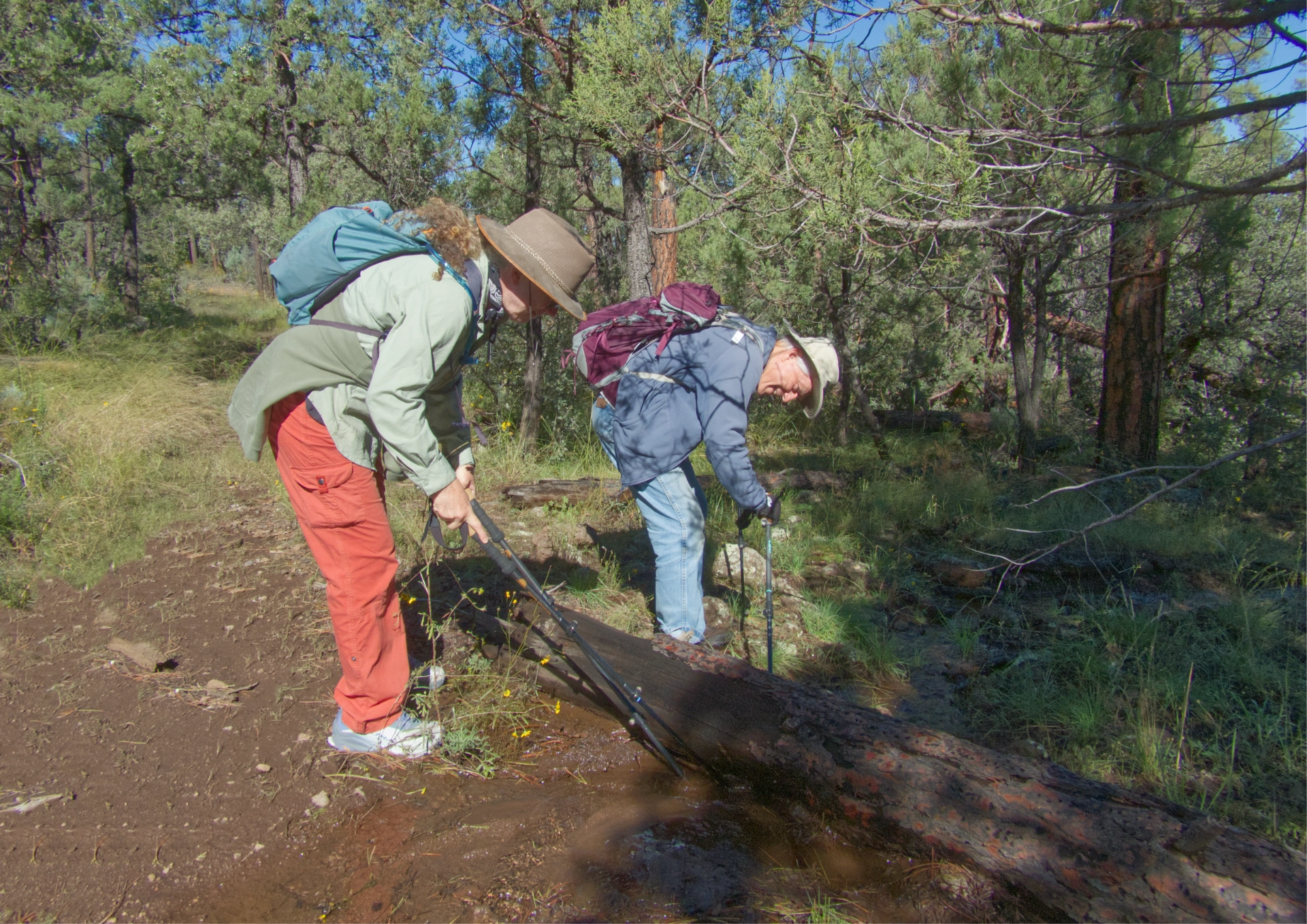 hikers nudging a log off the trail