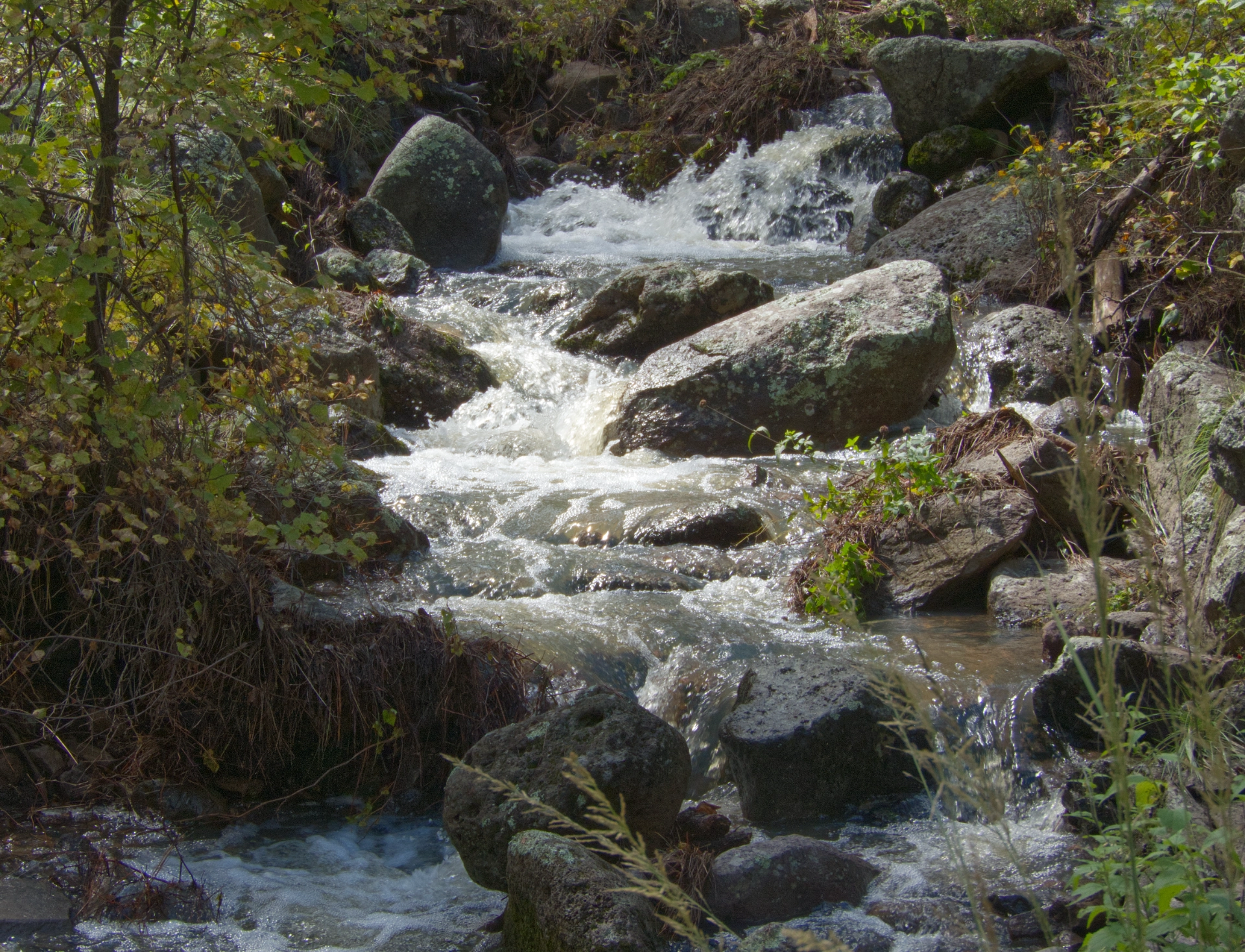 small stream whipping up a white froth
