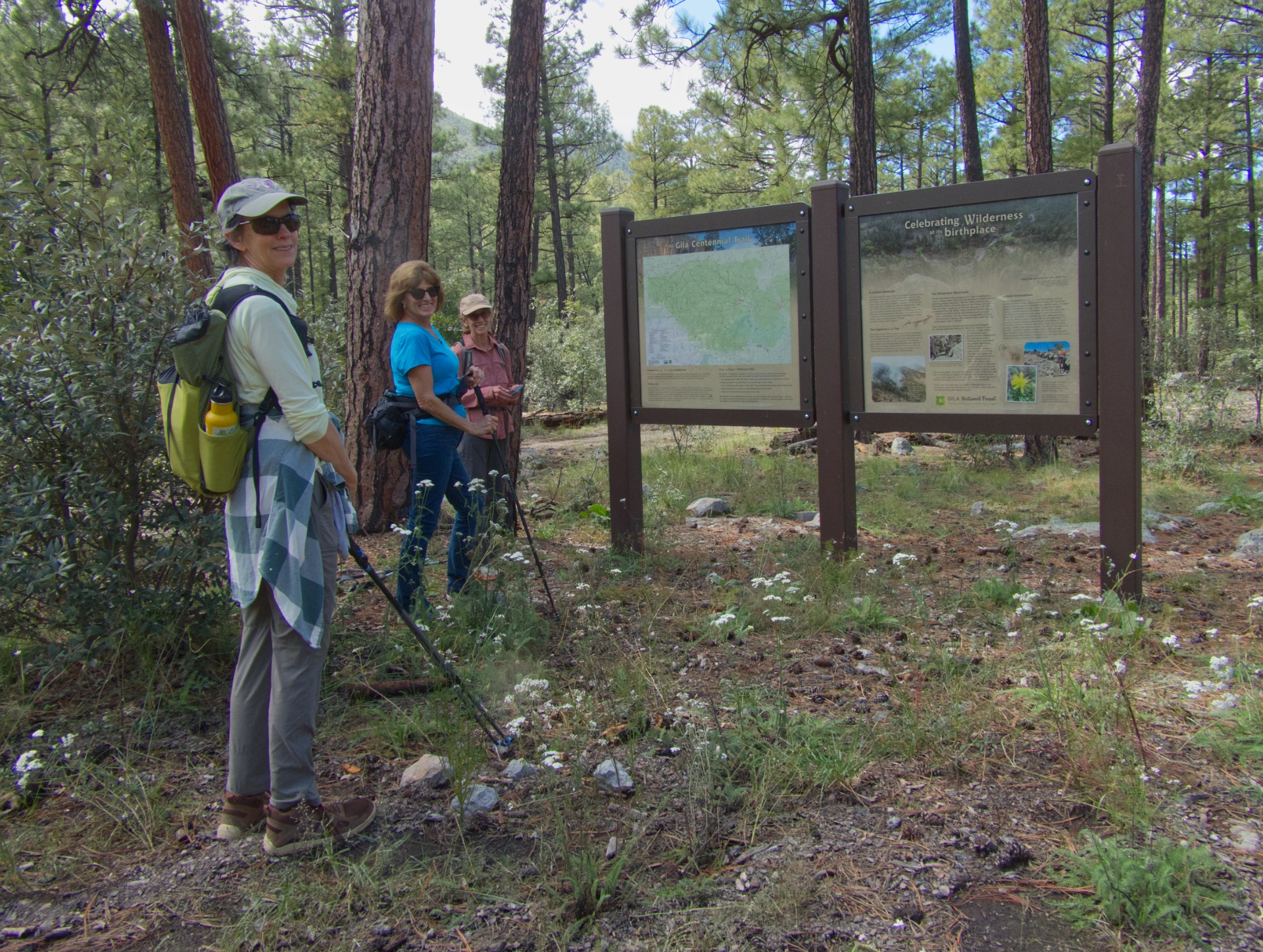 hikers admiring a very fancy interpretive sign at the trailhead
