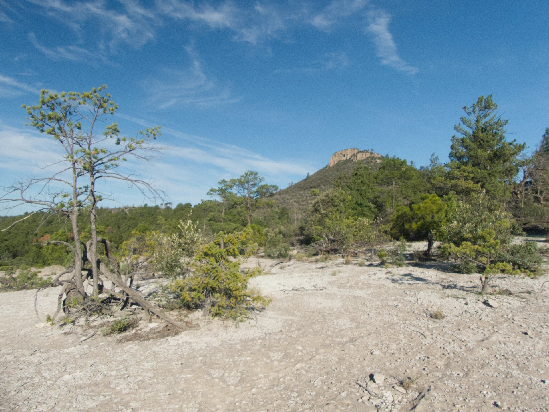 CDT trail sign