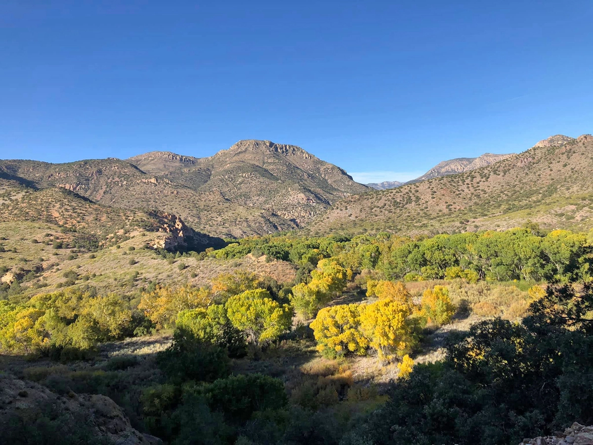 fall colors
