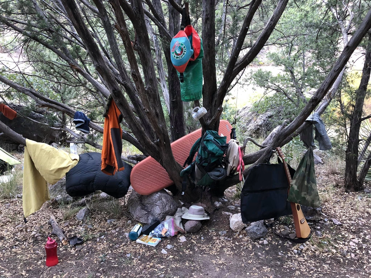 gear tree