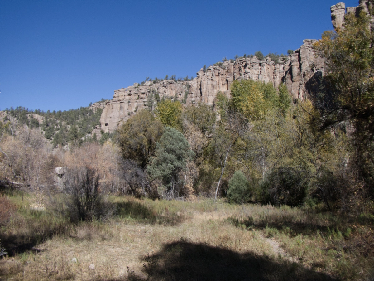 red cliffs and cottonwoods