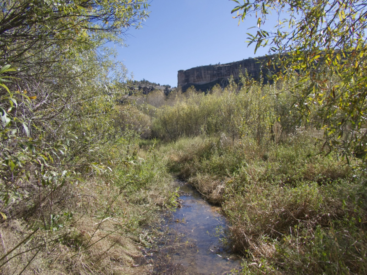 flooded trail