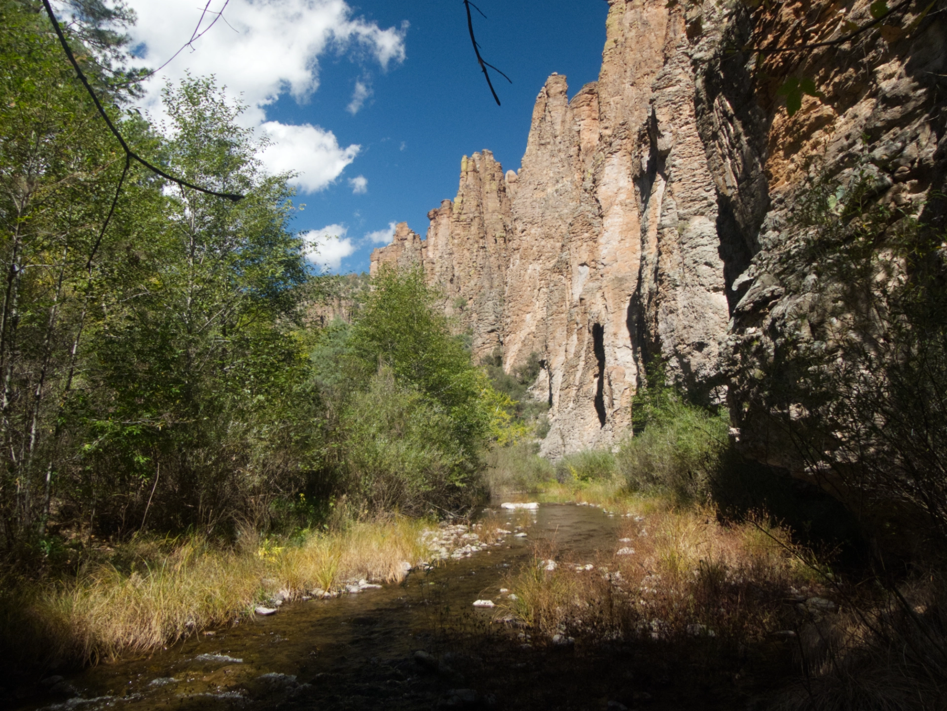 view upstream