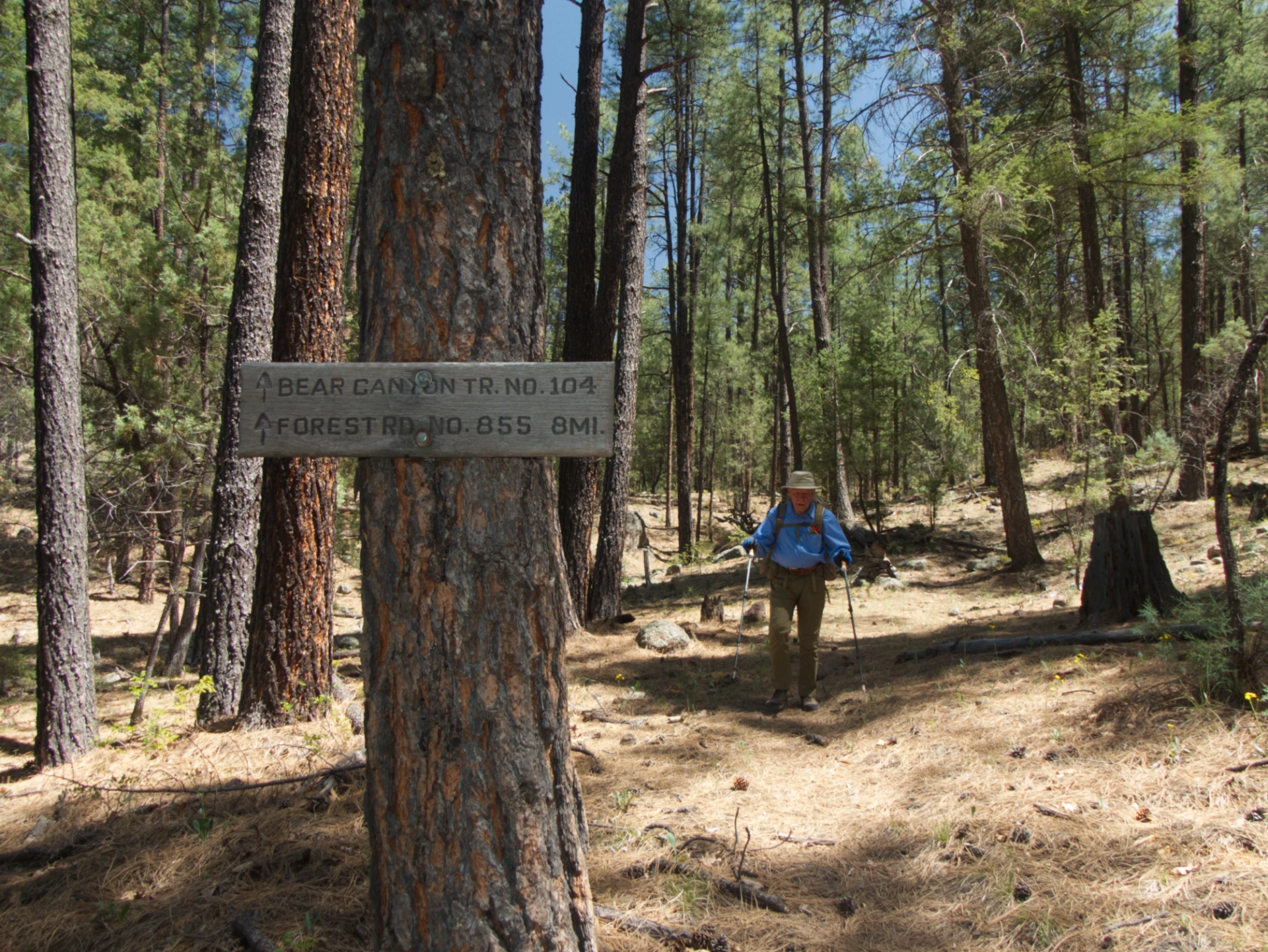 hiker near Allie Canyon trail sign
