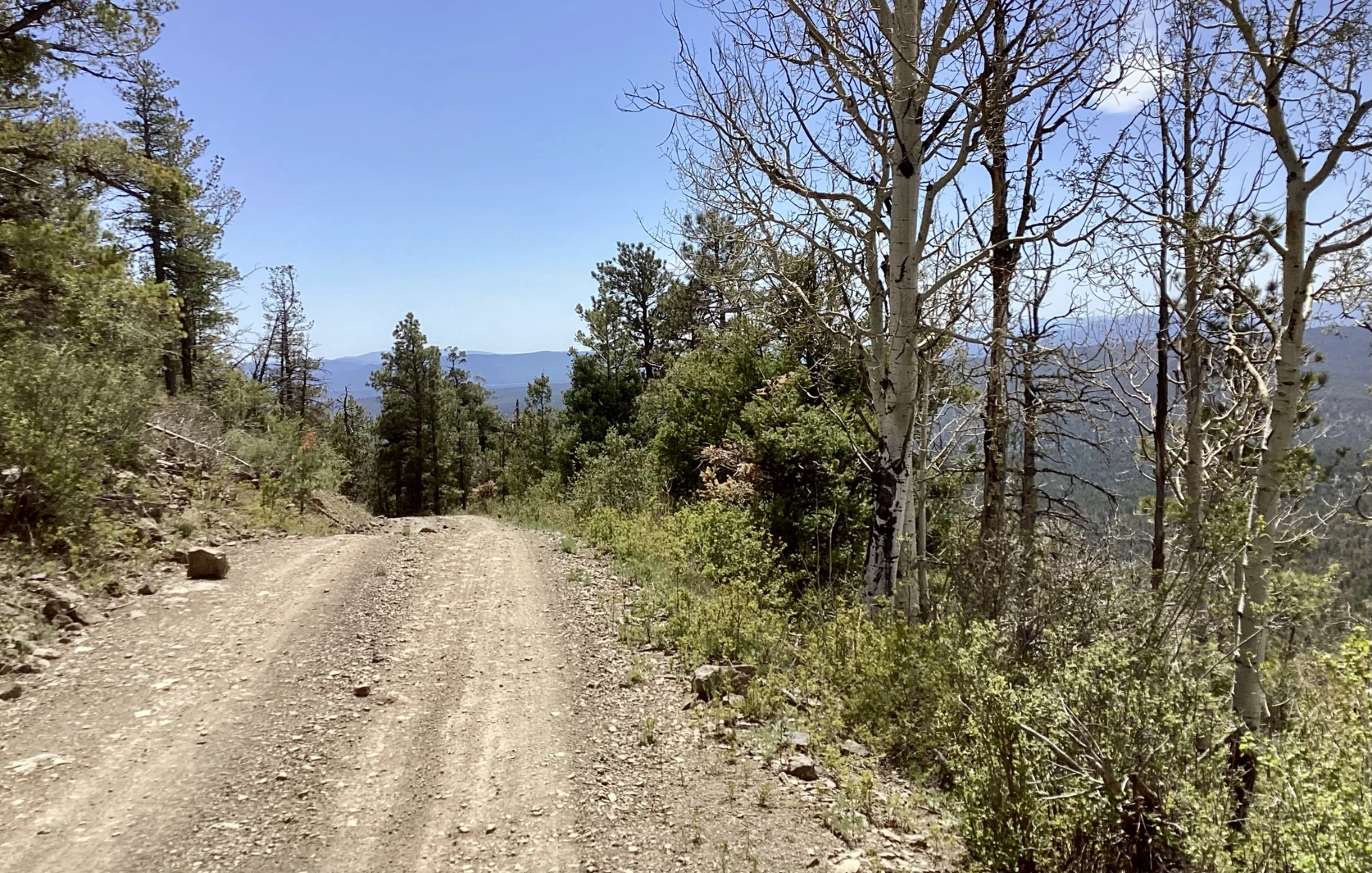 road to Mangas Lookout