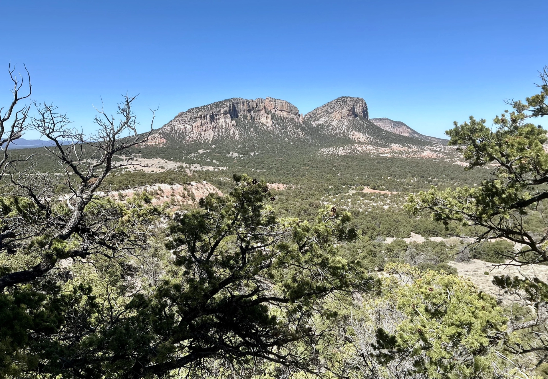 morning in the Sawtooth Mountains