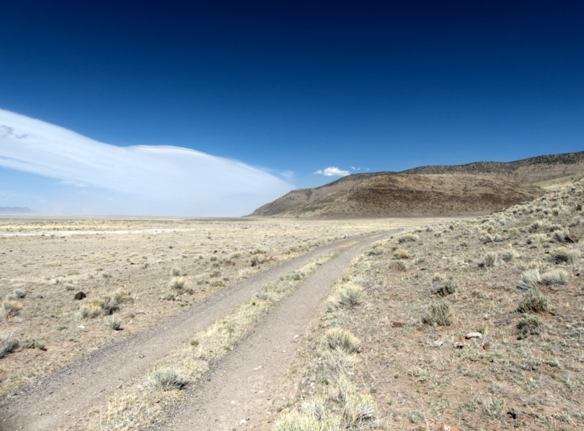 rough road on the edge of the Plains of San Agustin