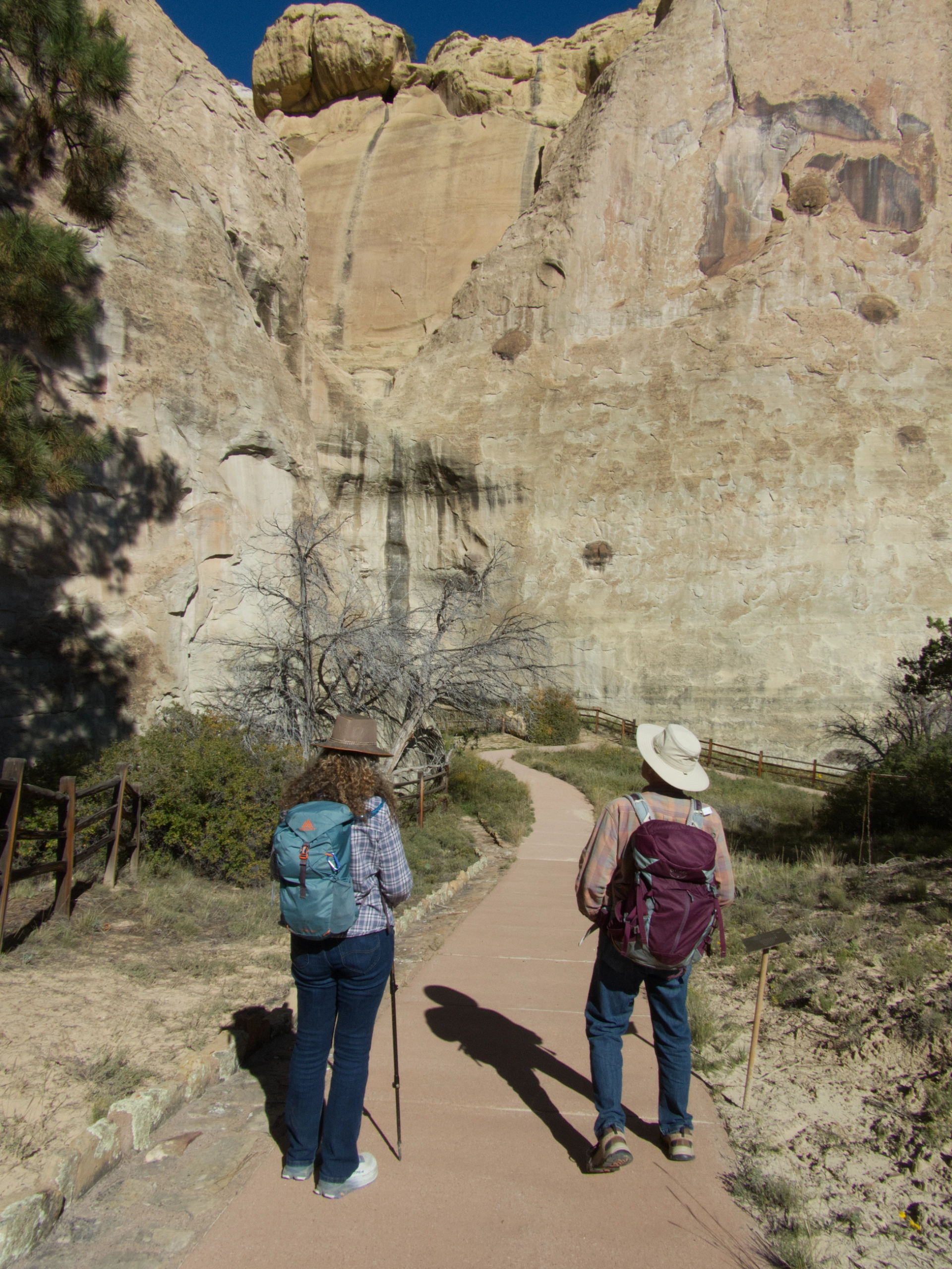Inscription Rock trail