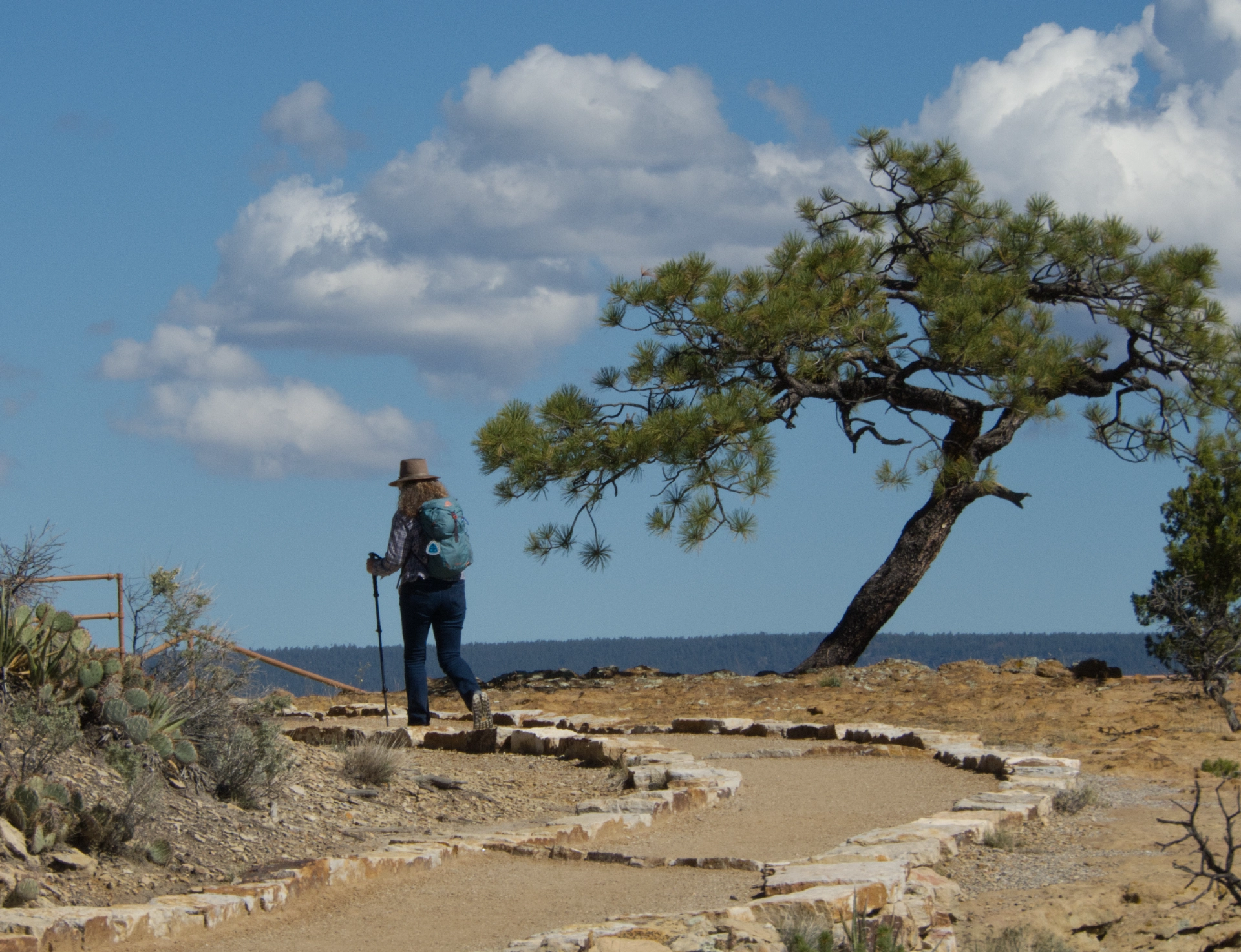 Debra on the Headland Trail
