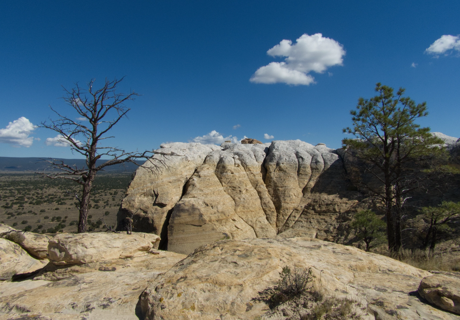 colorful rock layers on the Headland Trail