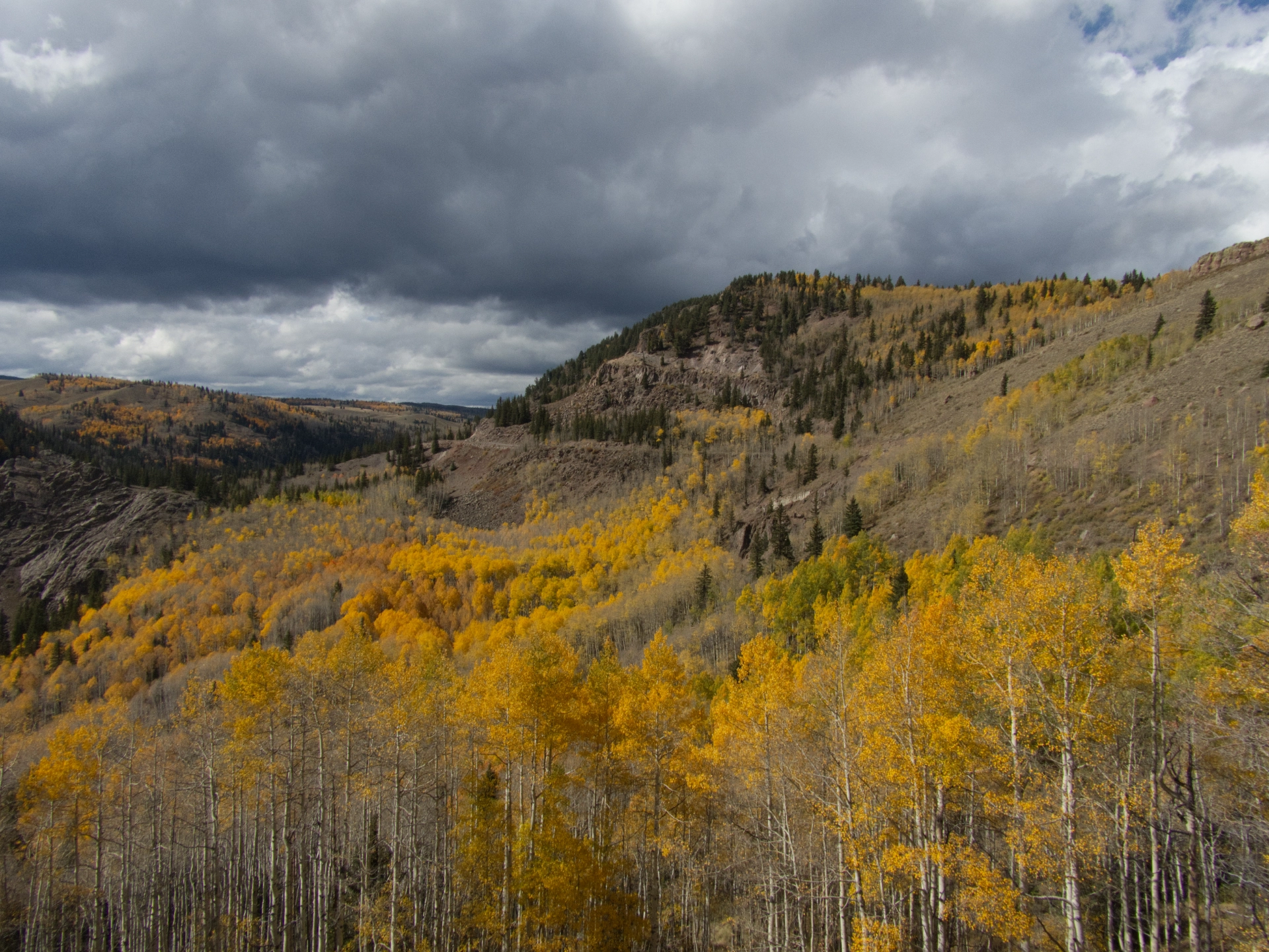 stormy sky and dazzling foliage