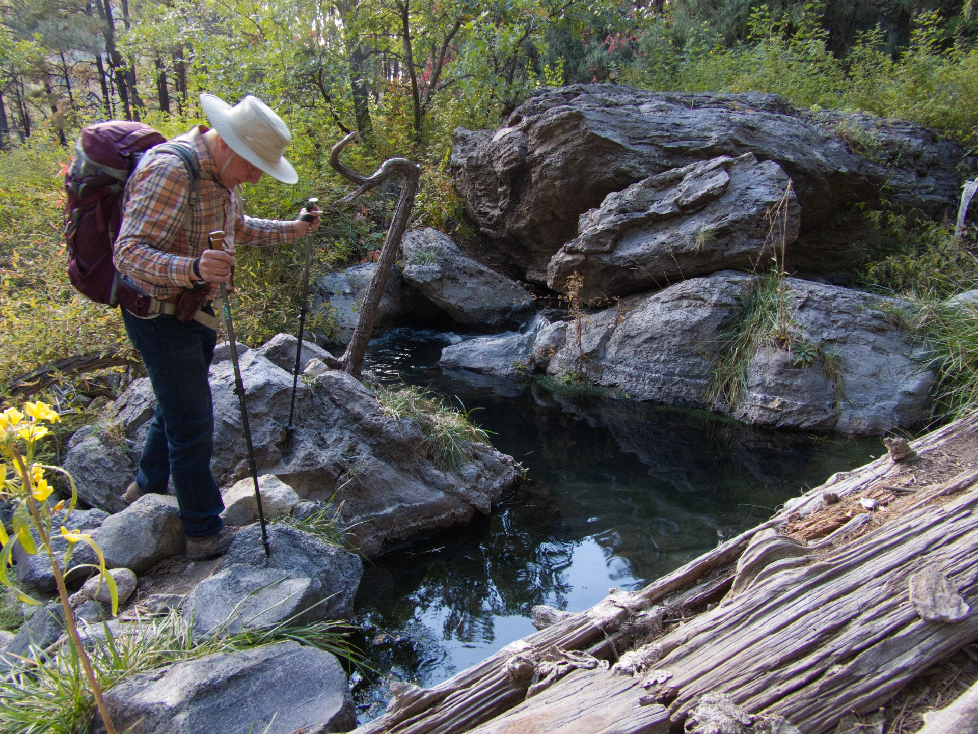 warm pool near McCauley Warm Springs
