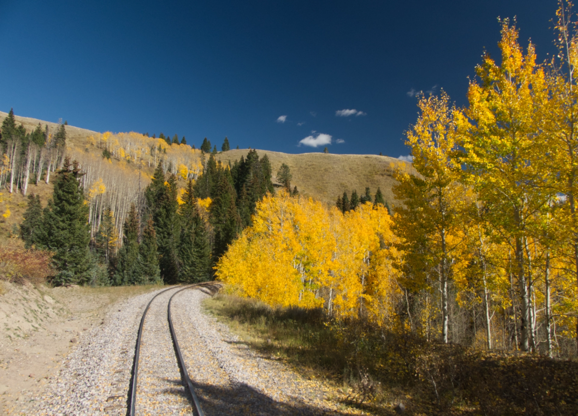 track curving through golden aspens and deep green fir trees