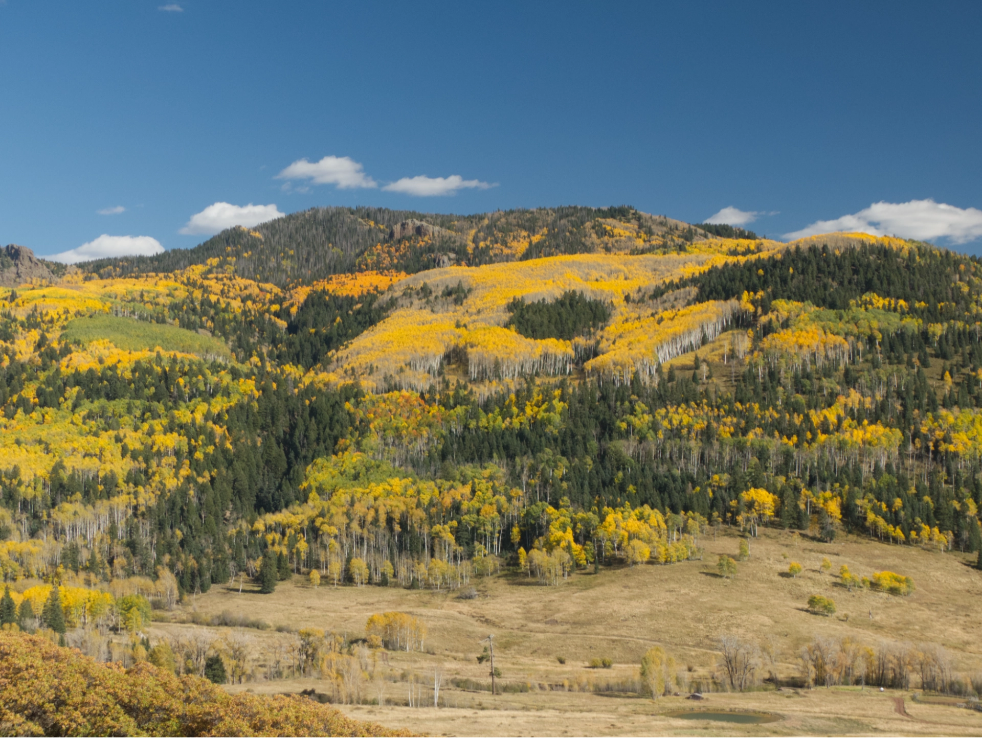 colorful hillside