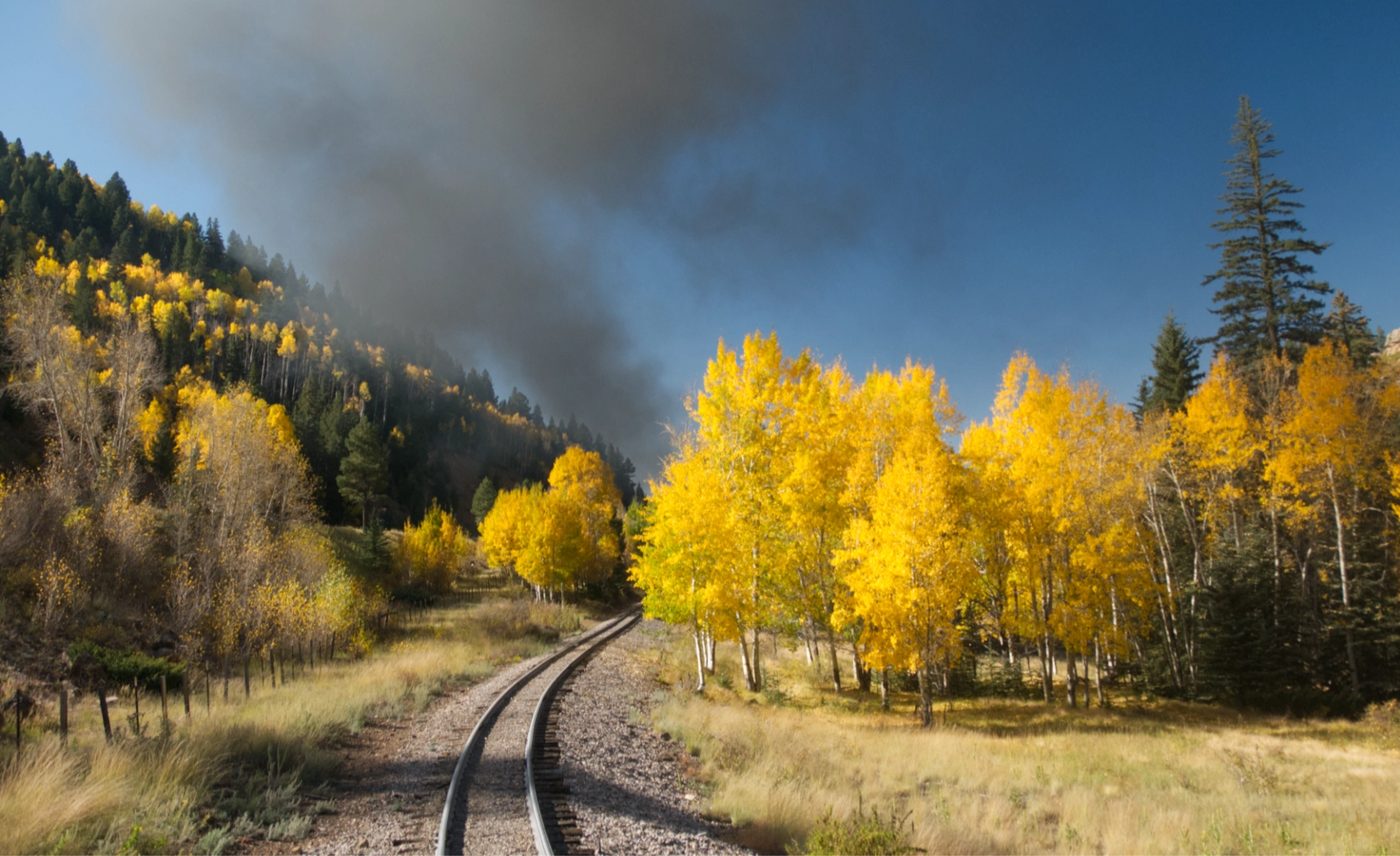 Golden aspens and clouds of black smoke