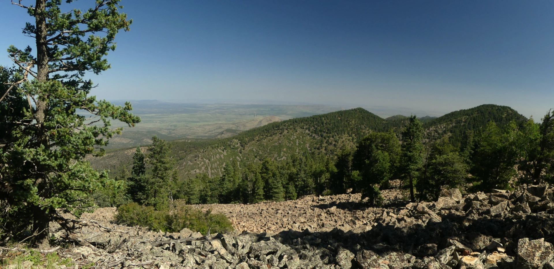 bushwhacking up the far side of South Baldy