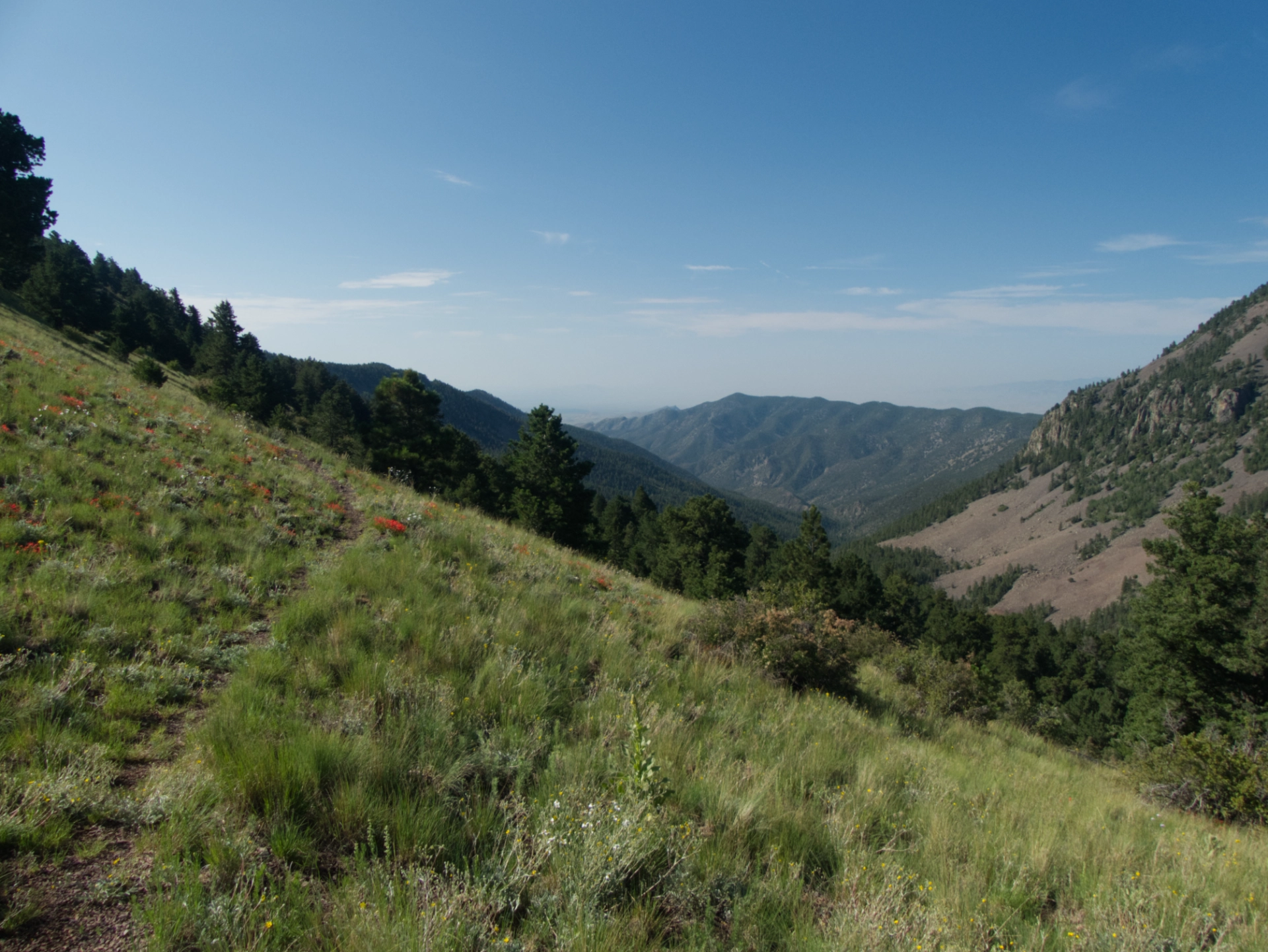 view from the Timber Peak trail