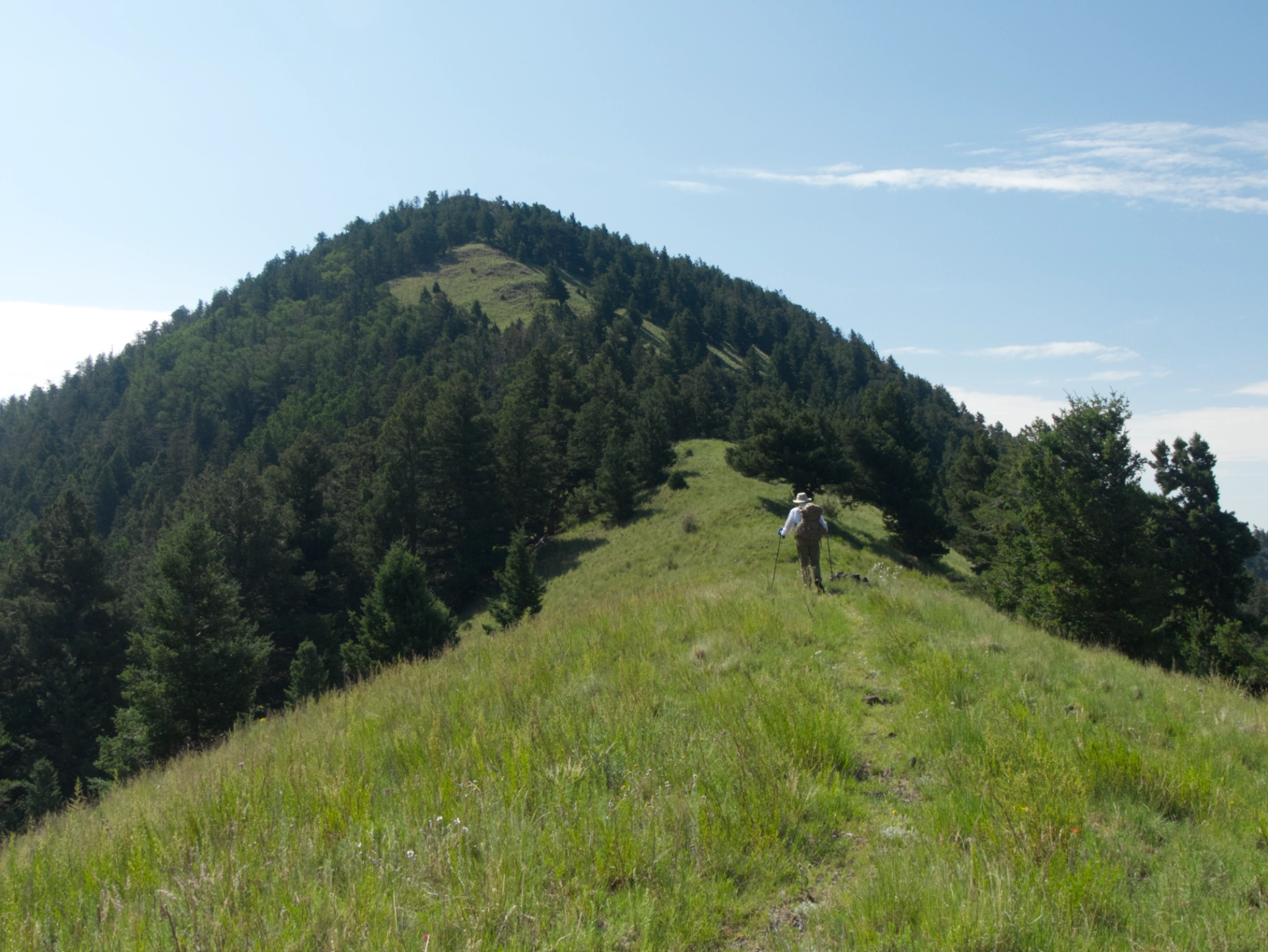 approaching Timber Peak