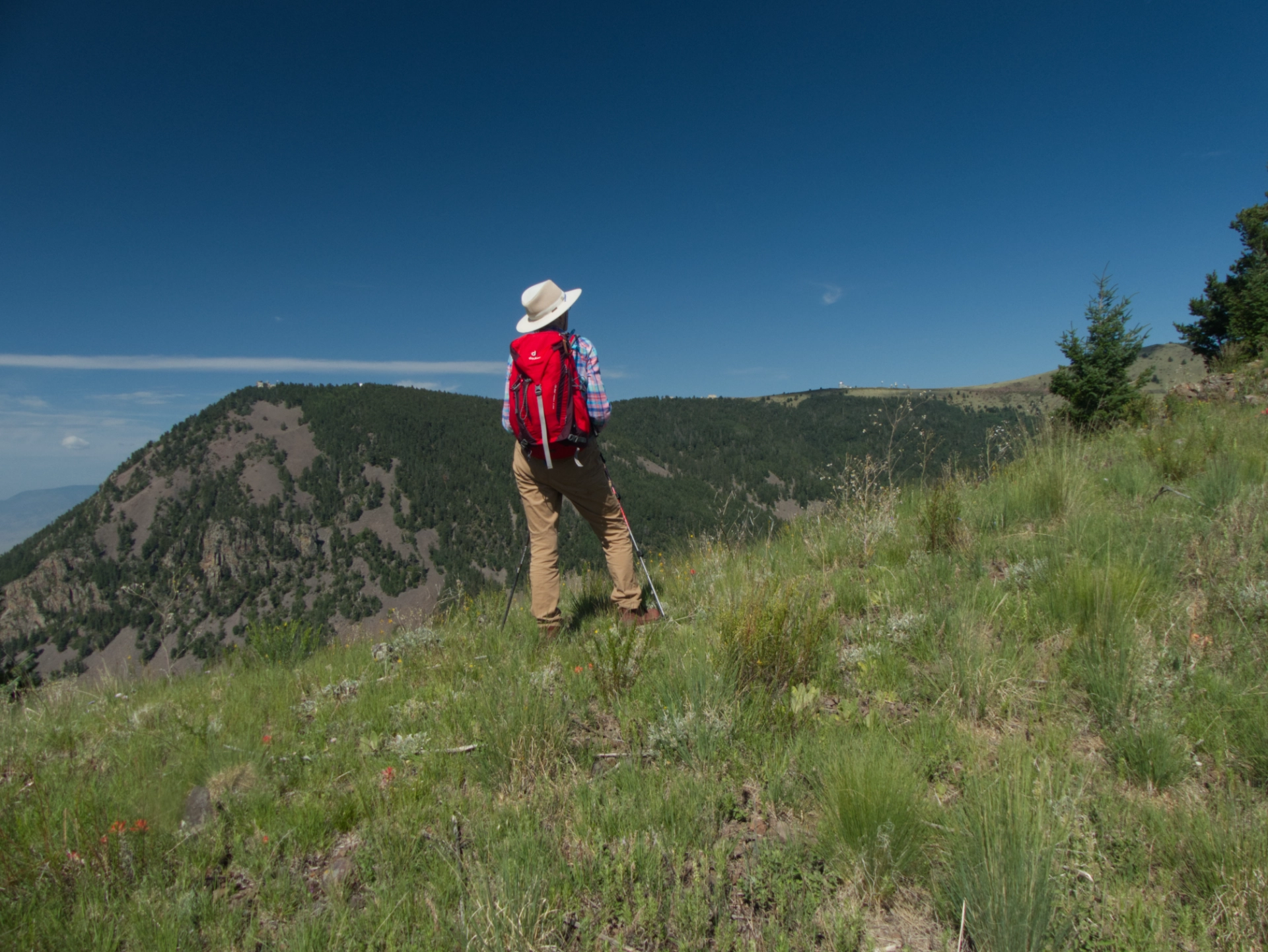 hiking in the Magdalena Mountains